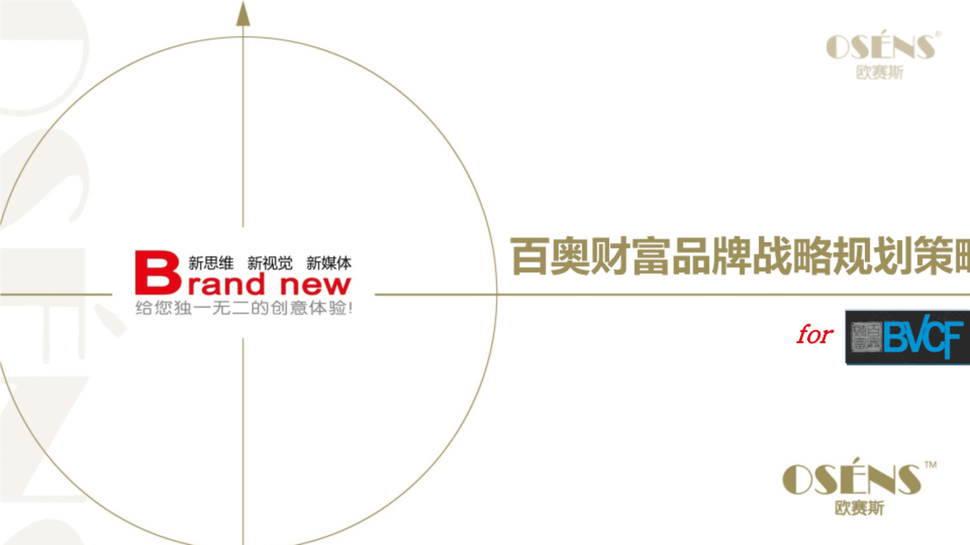 欧赛斯百奥财富金融行业品牌战略规划创意思路方案