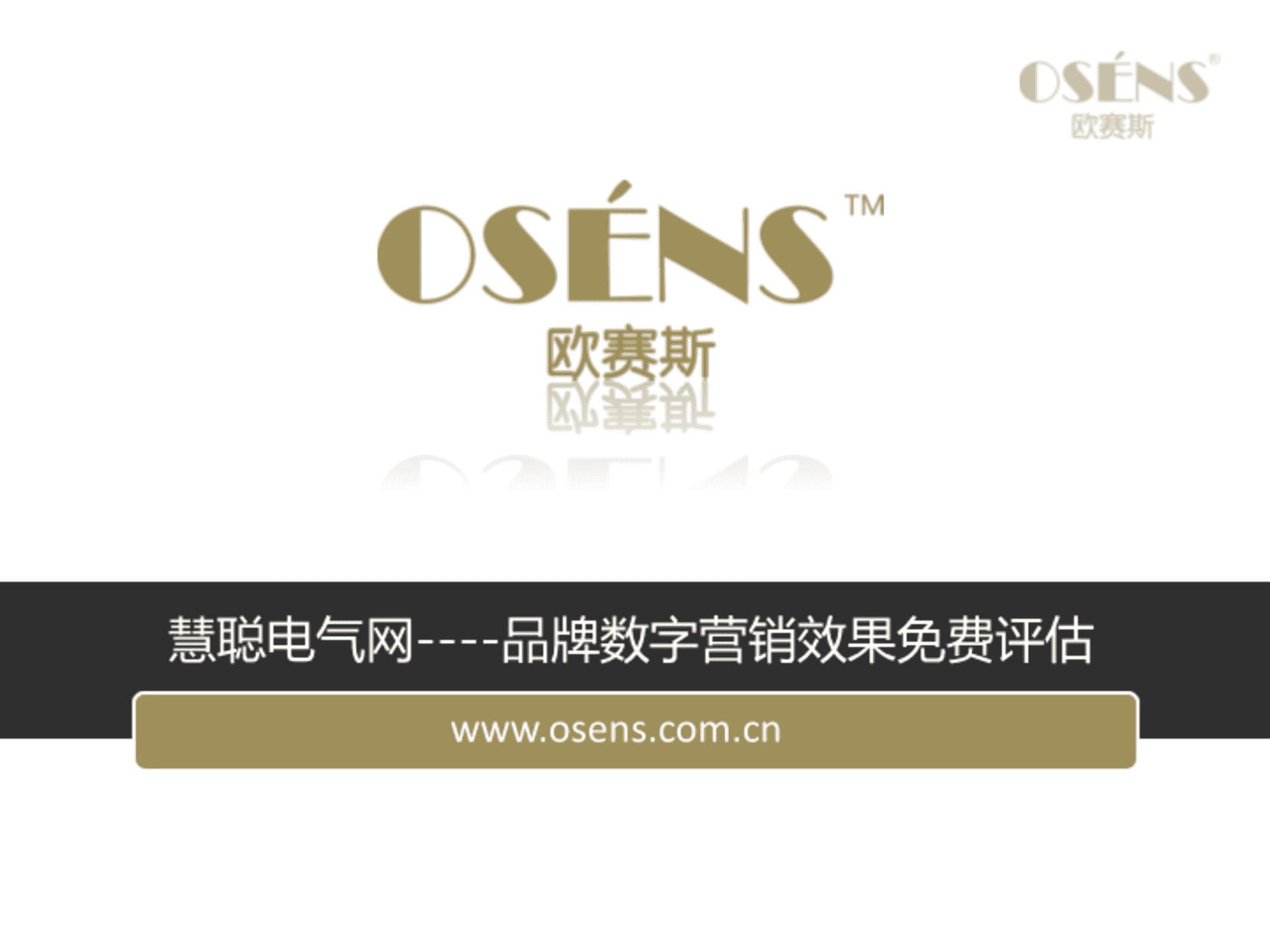 欧赛斯慧聪电器网在线营销推广效果评估