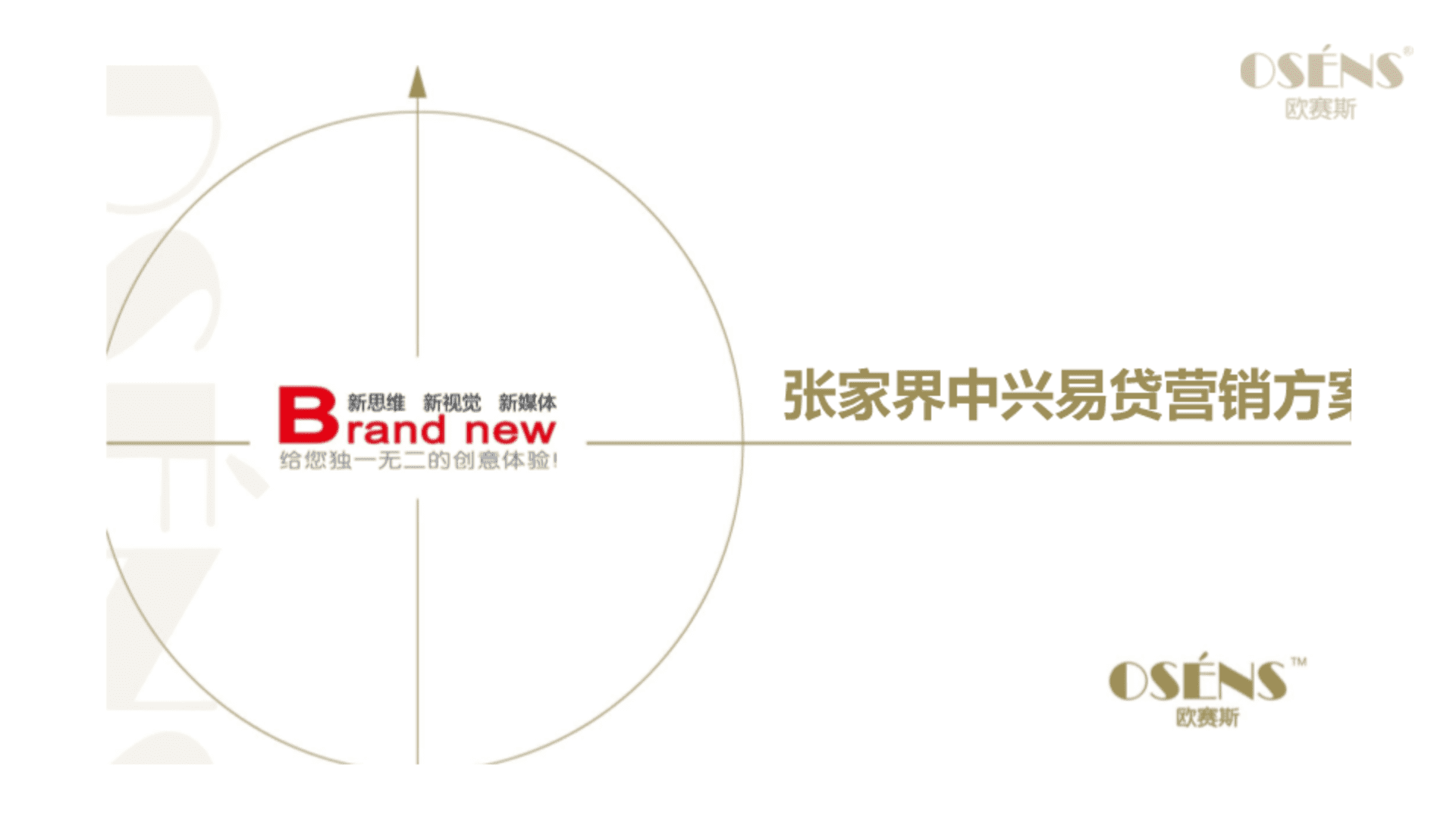 欧赛斯经典互联网金融普惠金融P2P平台品牌策划定位整合营销方案