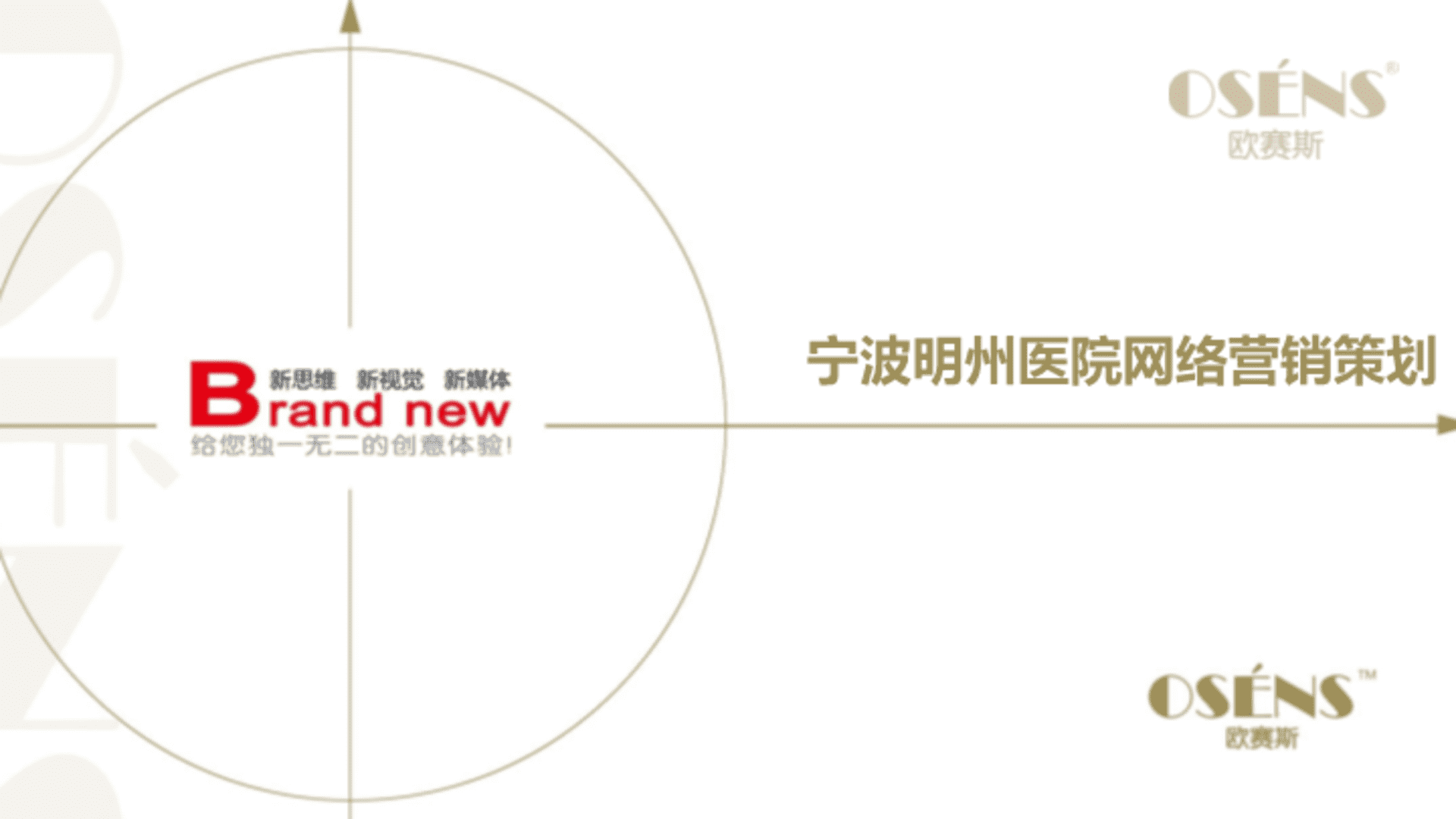 欧赛斯明州医院私立医院网络营销品牌传播方案