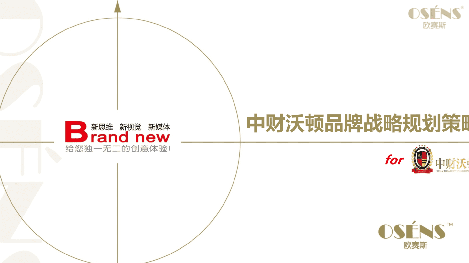 欧赛斯中财沃顿品牌战略规划思路方案