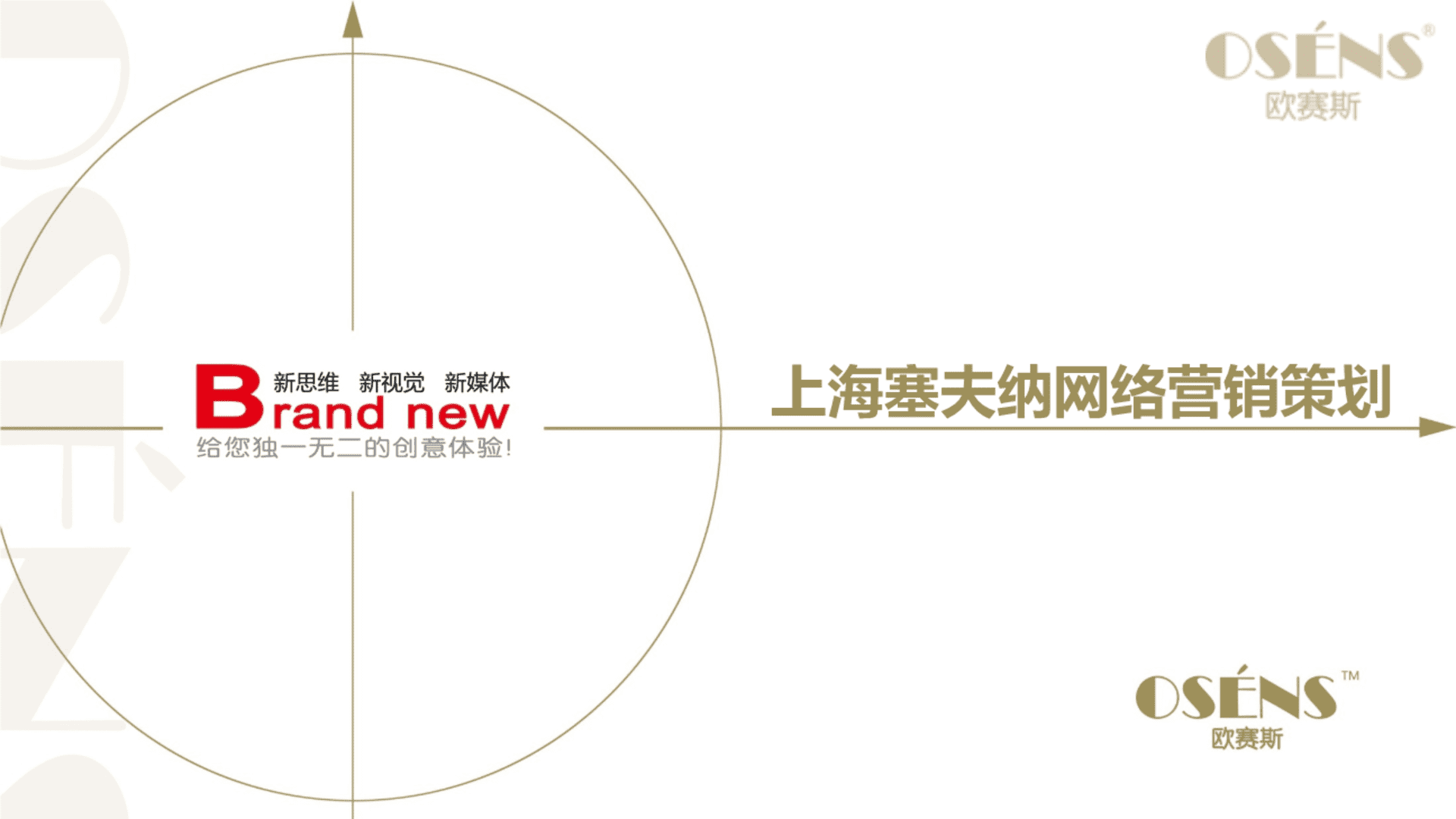 欧赛斯-上海塞夫纳智能健康家居网络营销策划方案