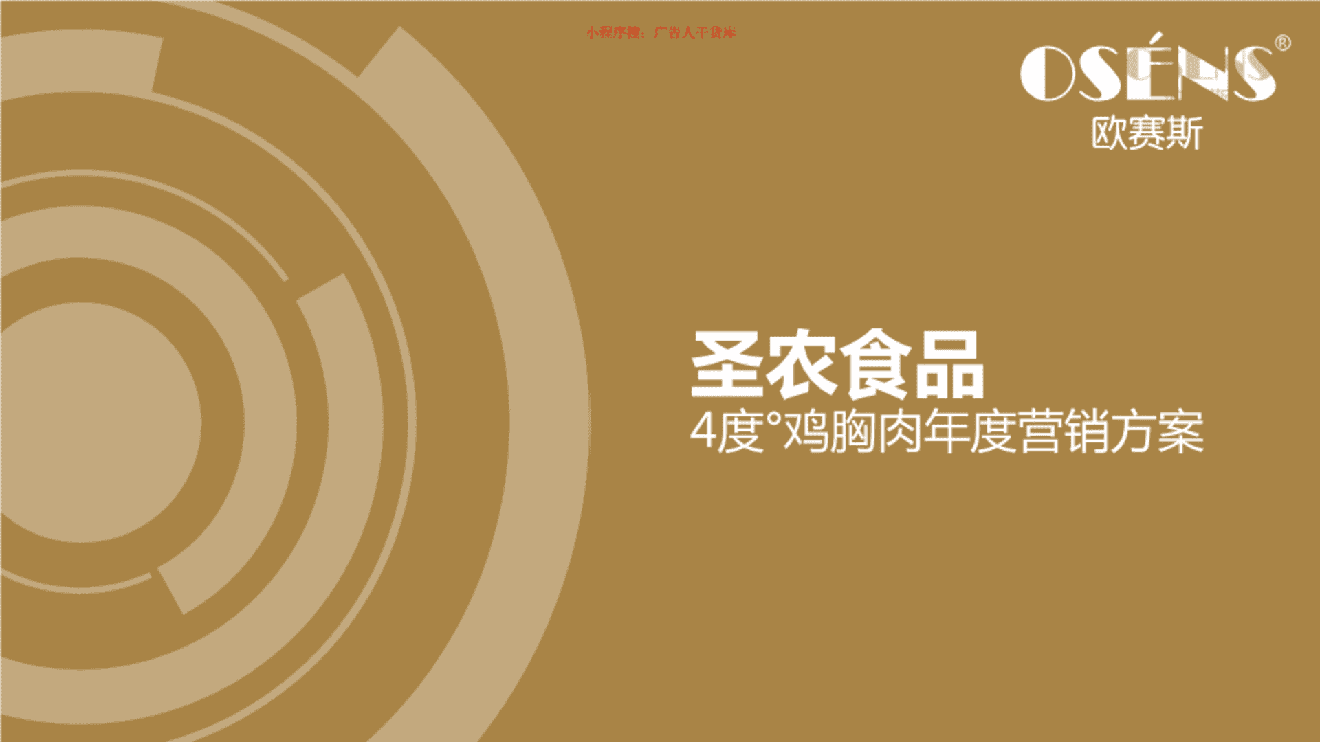 欧赛斯：圣农运动食品策划定位年度整合营销案