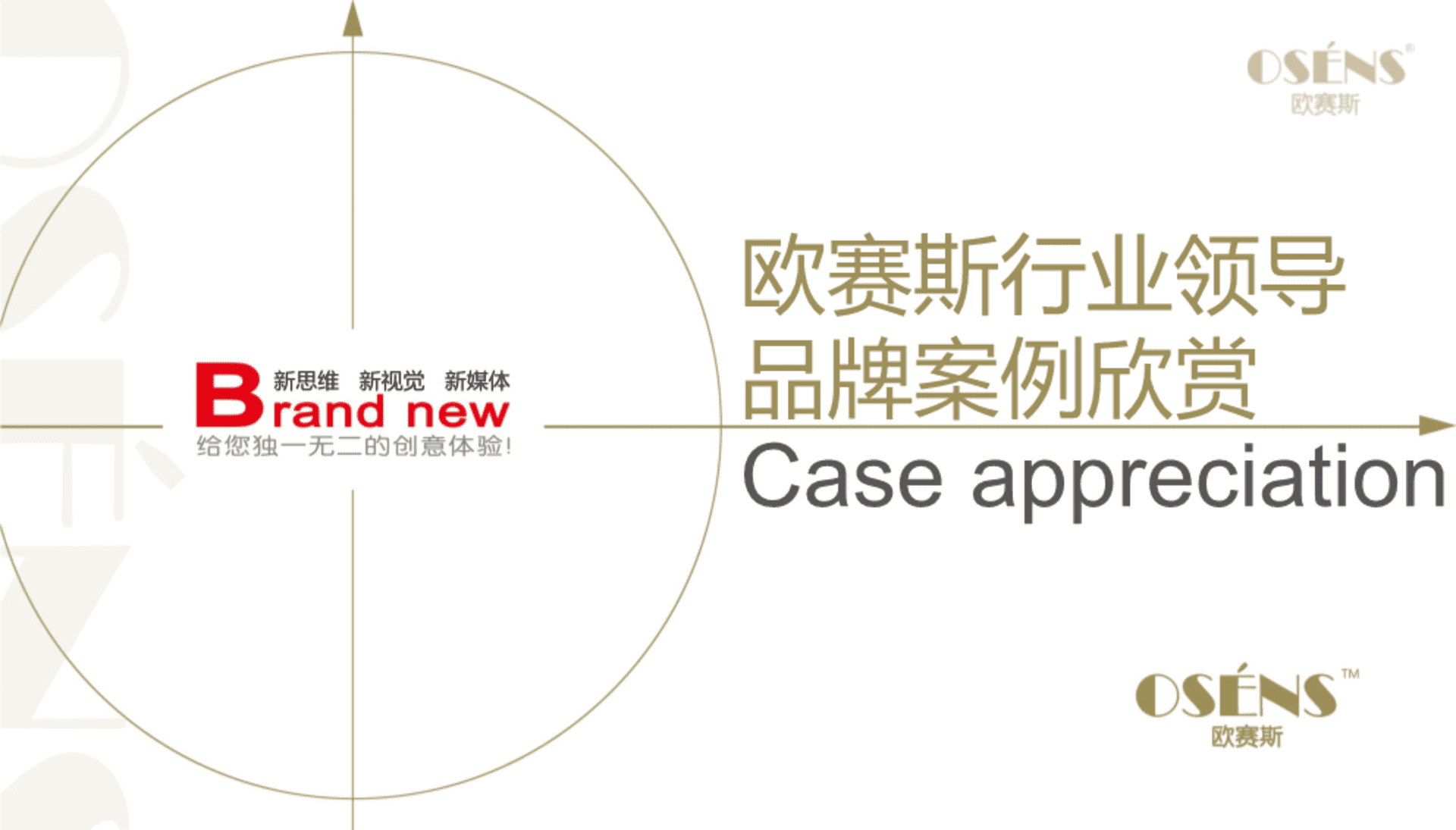 欧赛斯-知名行业领导品牌数字营销案例鉴赏集