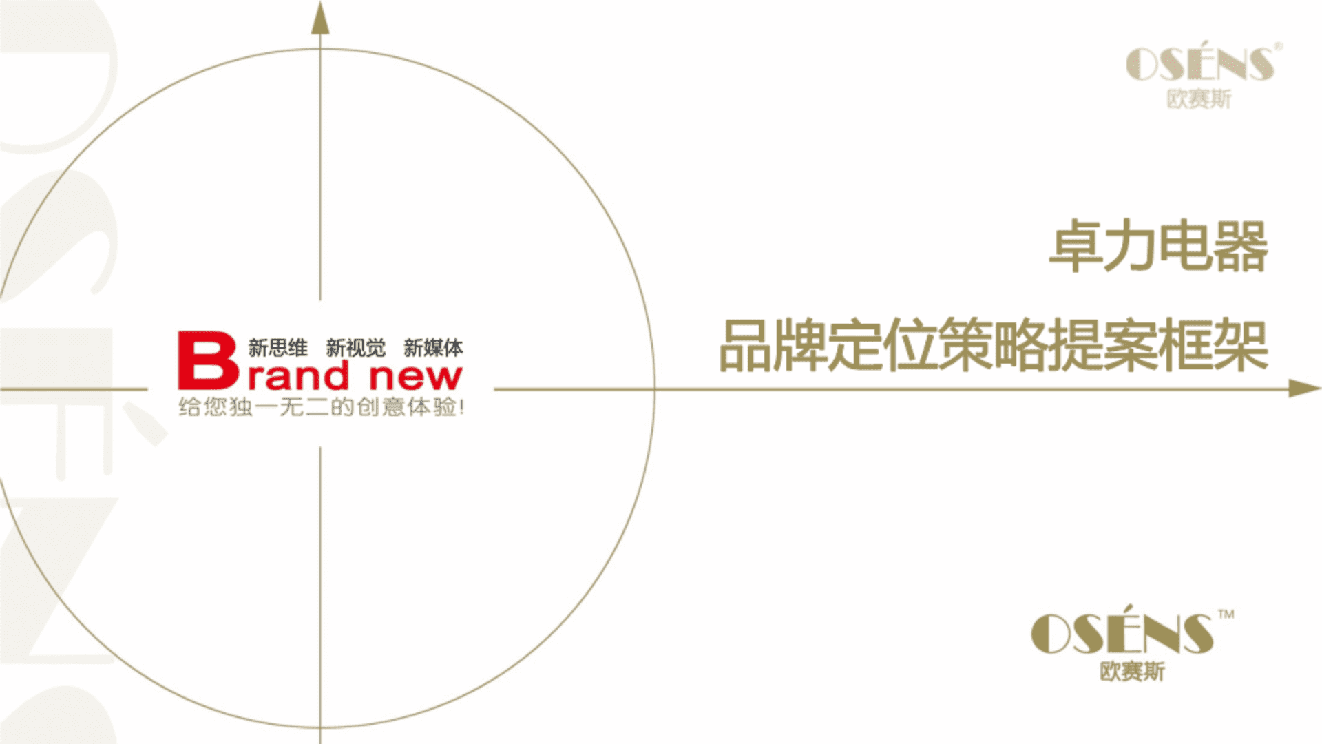 欧赛斯-卓力电器高端熨烫系统品牌定位策略方案