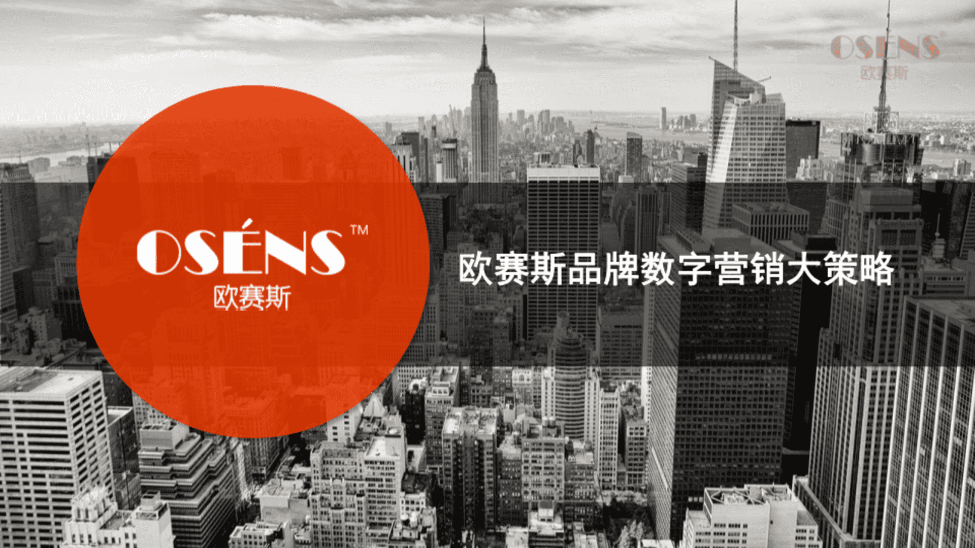 数字时代大品牌：欧赛斯数字营销大策略
