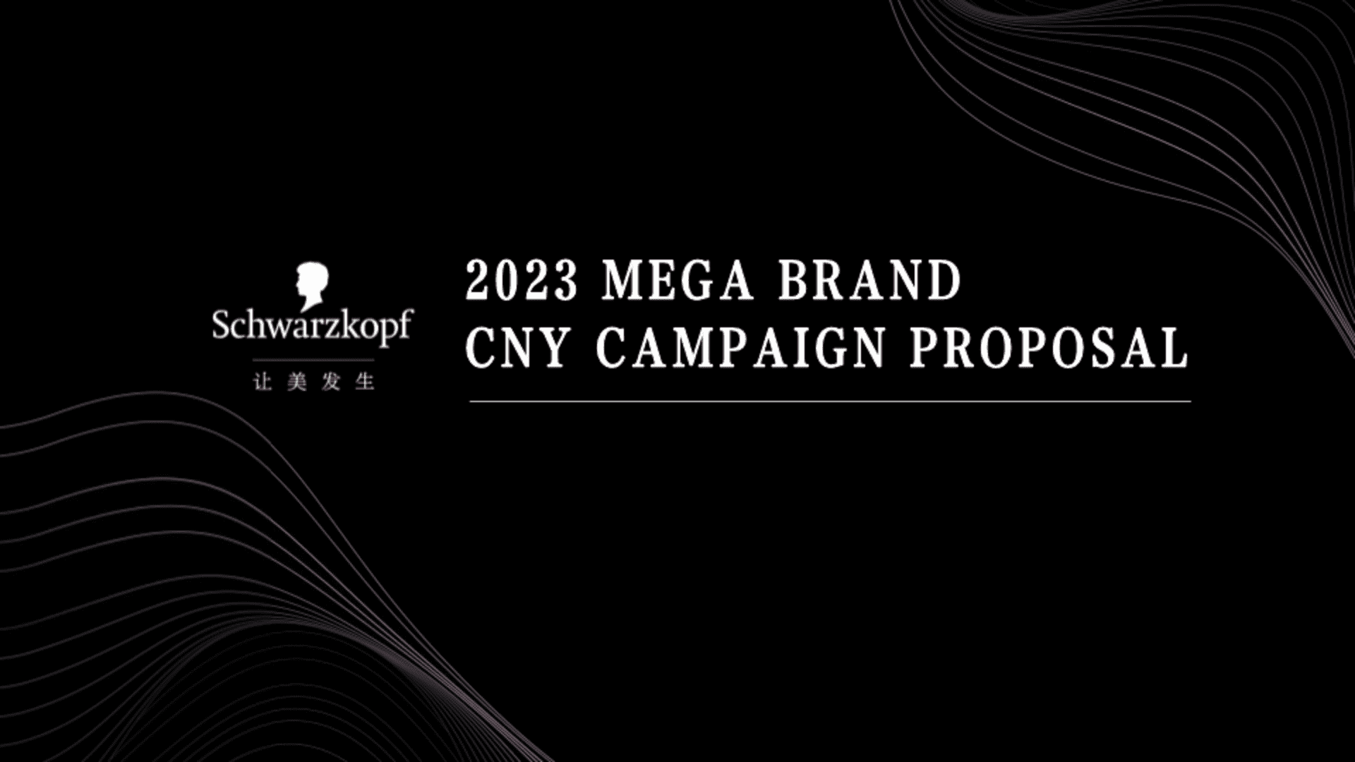 施华蔻品牌CNY传播规划方案