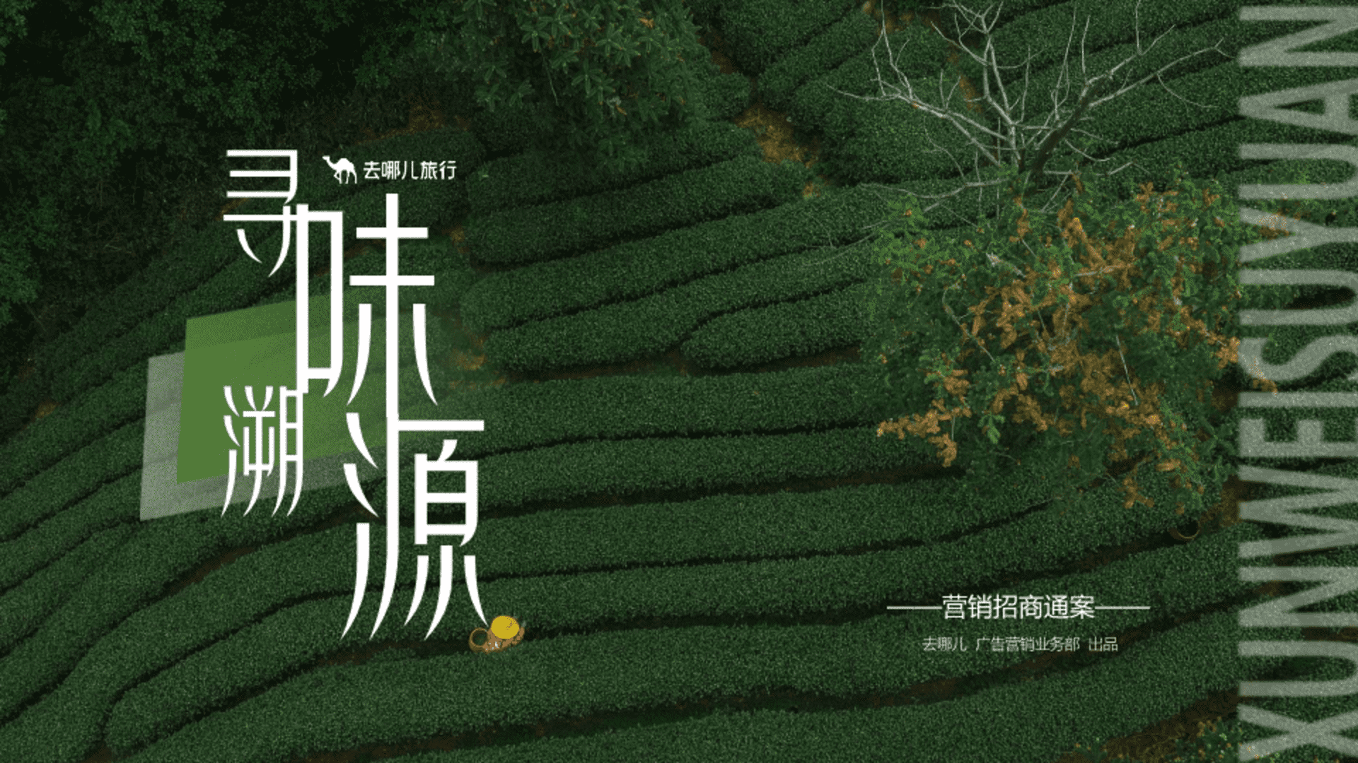 2025去哪儿「寻味溯源」营销招商通案