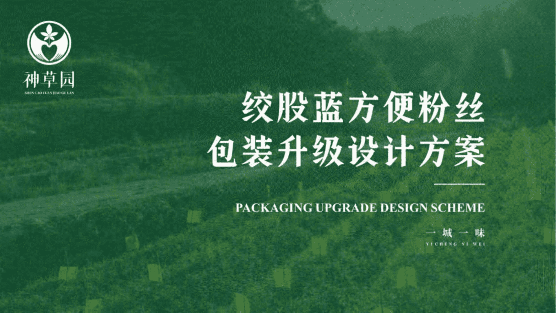 绞股蓝方便粉丝包装升级设计方案