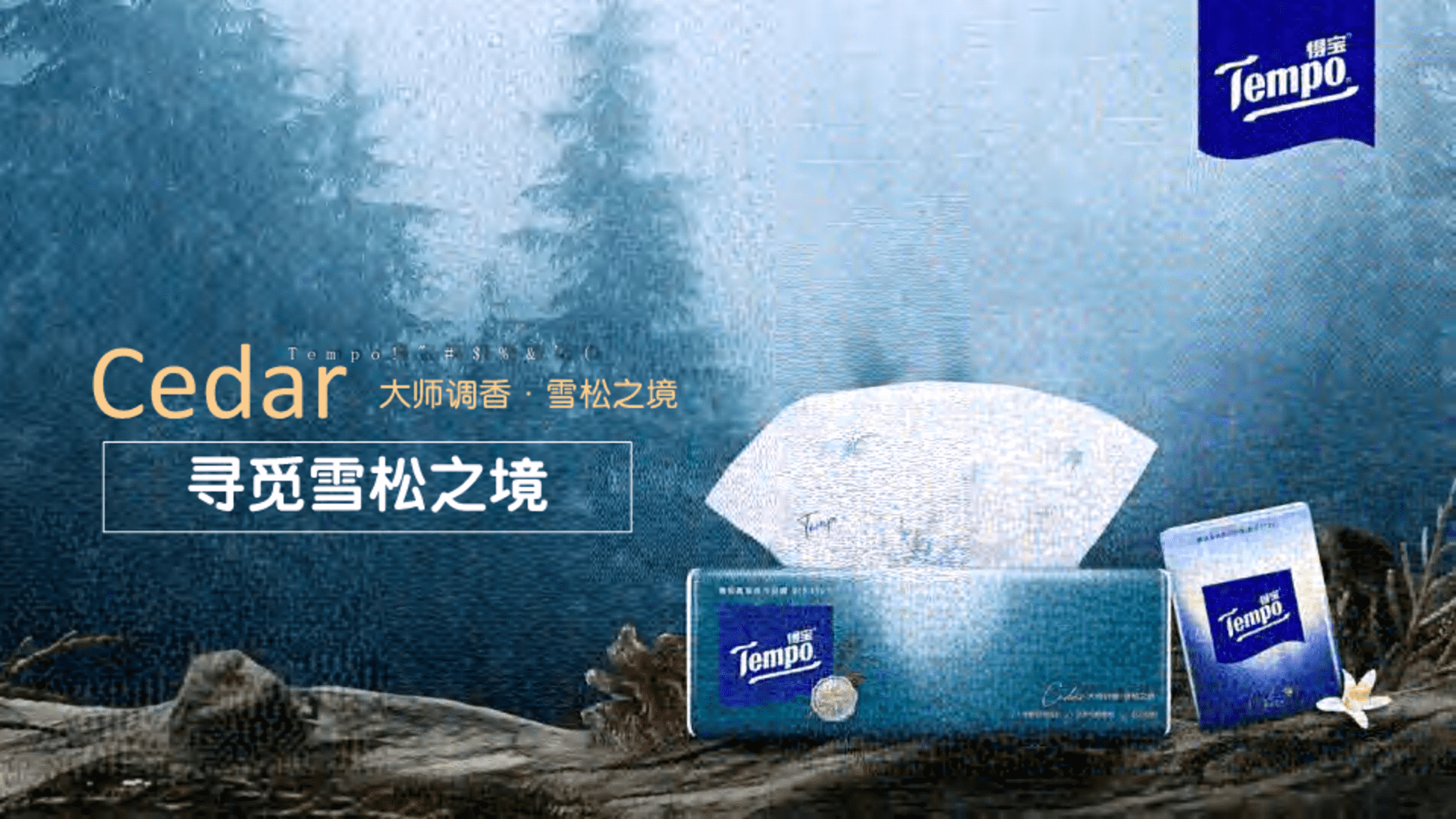 得宝纸巾寻觅雪松之境传播推广方案
