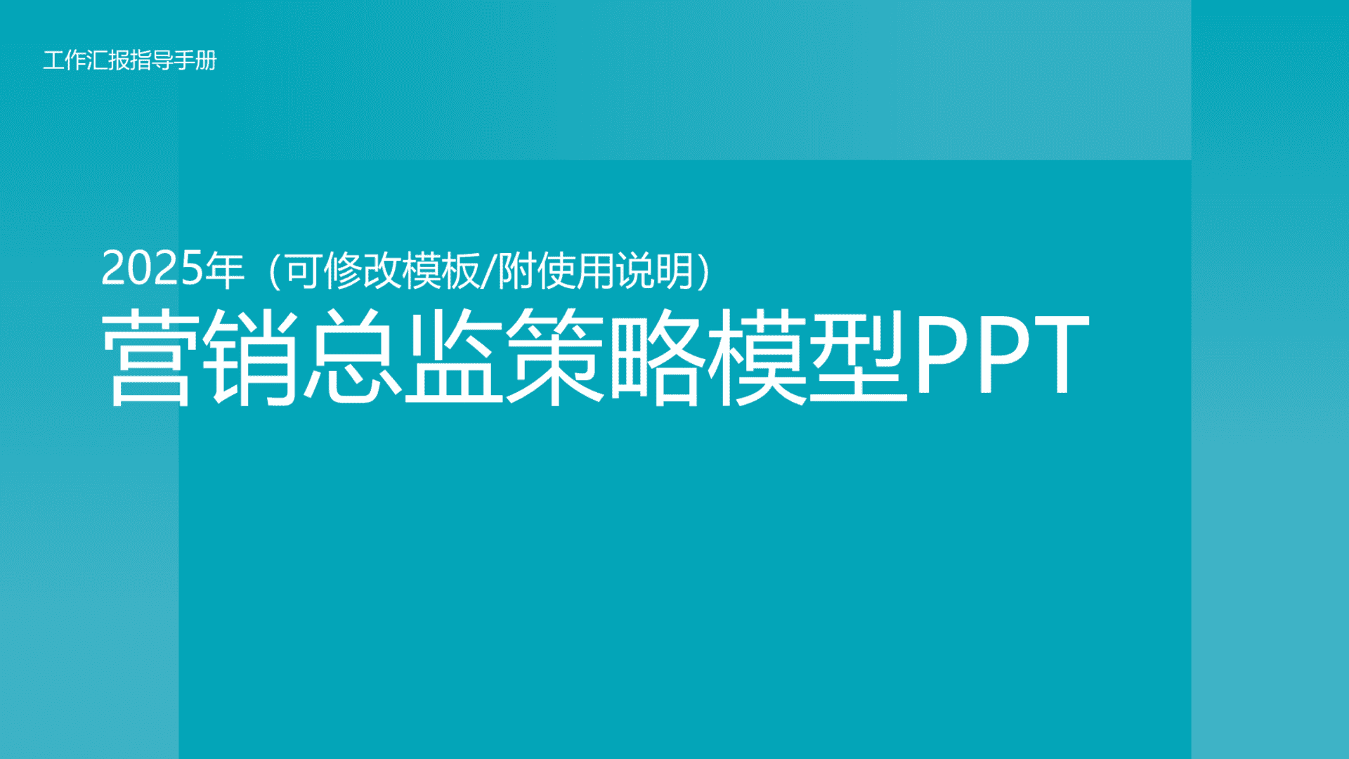 2025营销总监策略模型PPT