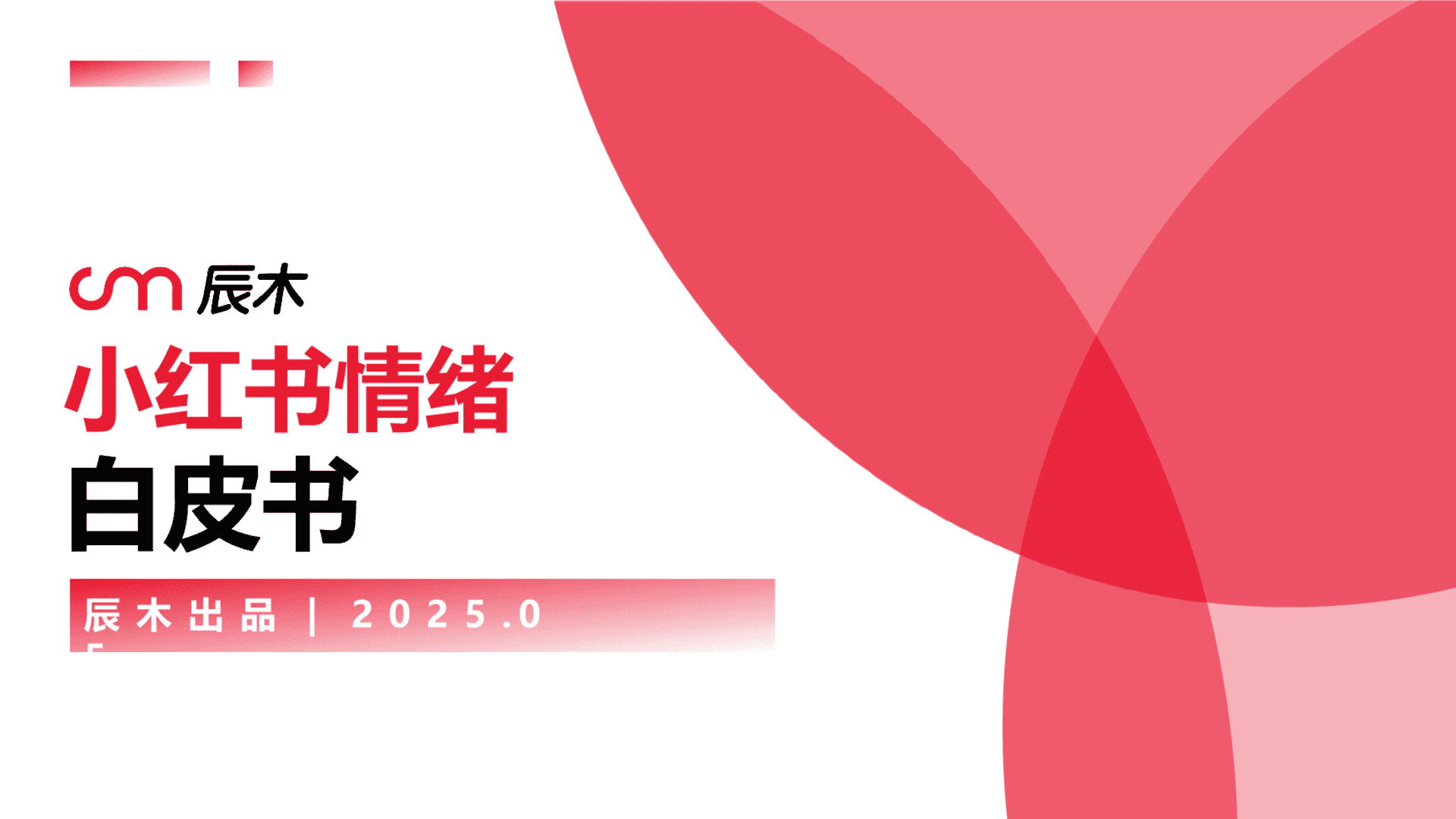2025小红书情绪营销方案