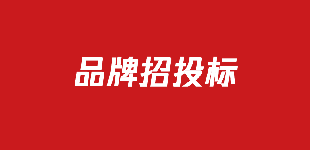 655品牌招投标方案包（65份）