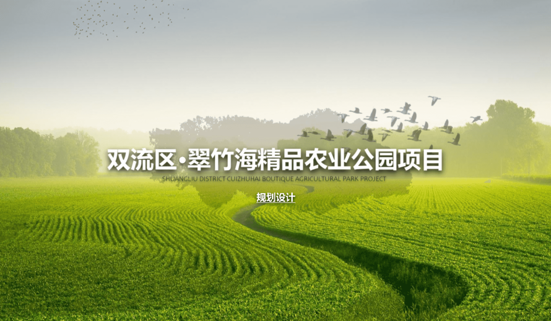 西南省会城市翠竹海精品农业公园规划设计案