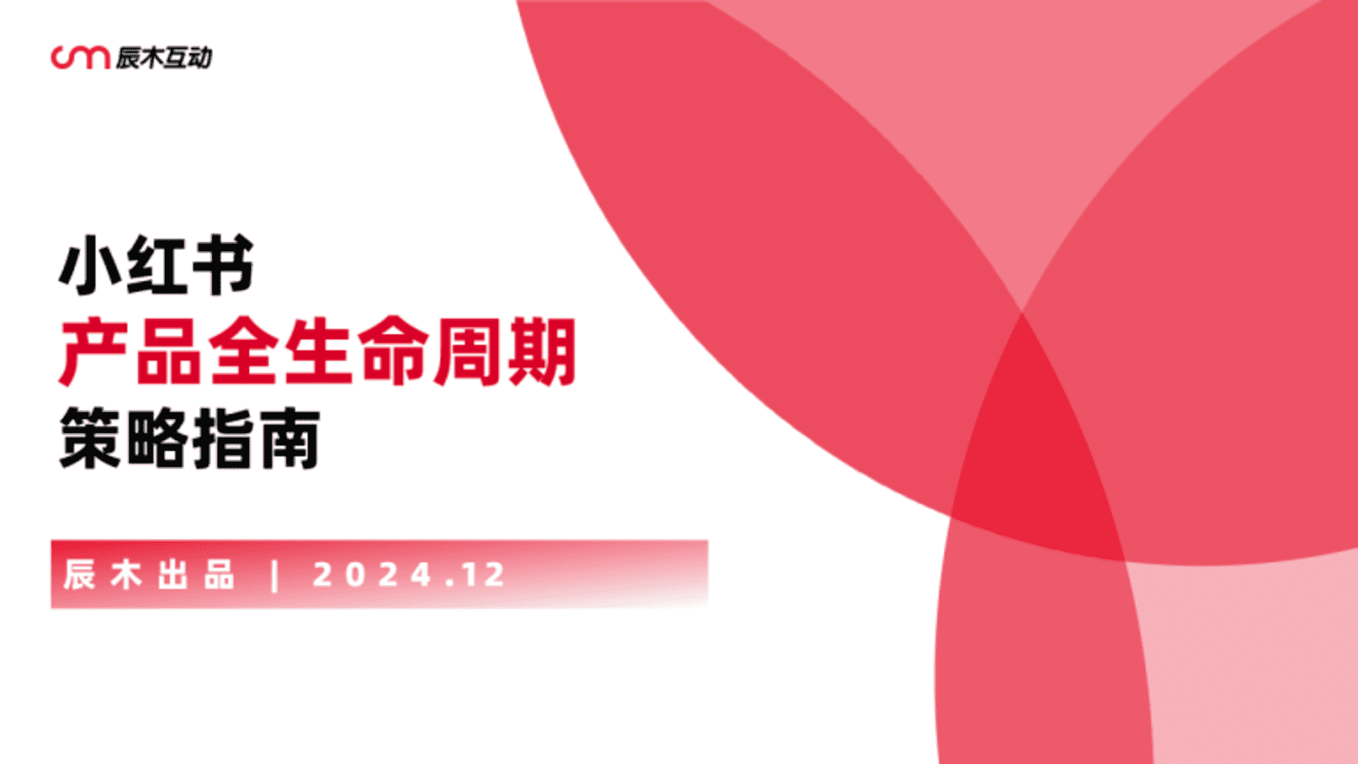 2025产品生命周期策略解析附案例版