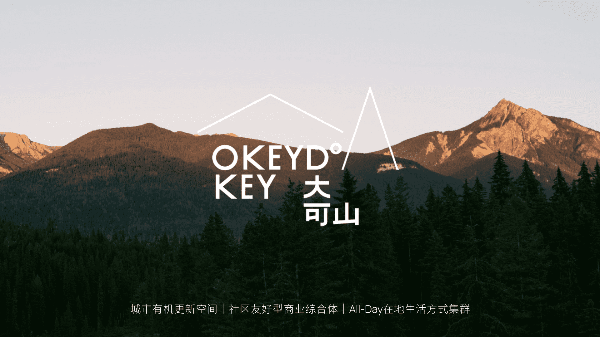 2025深圳大可山商业招商手册