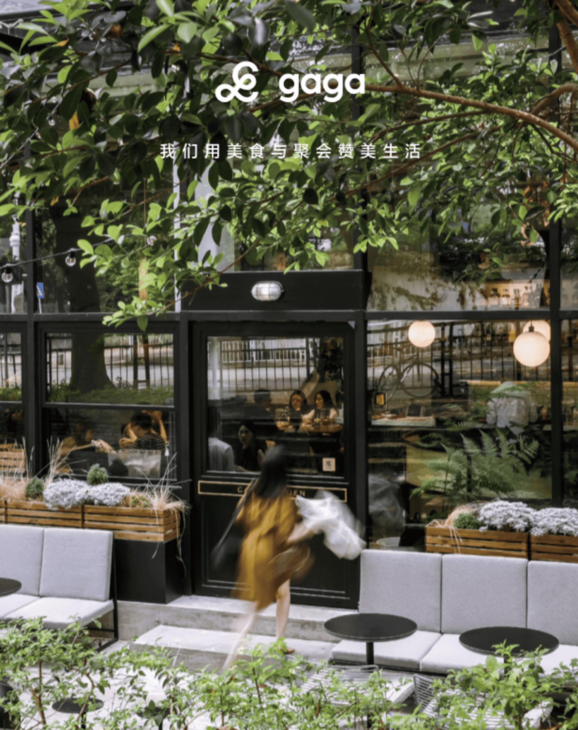 gaga鲜语餐饮品牌手册