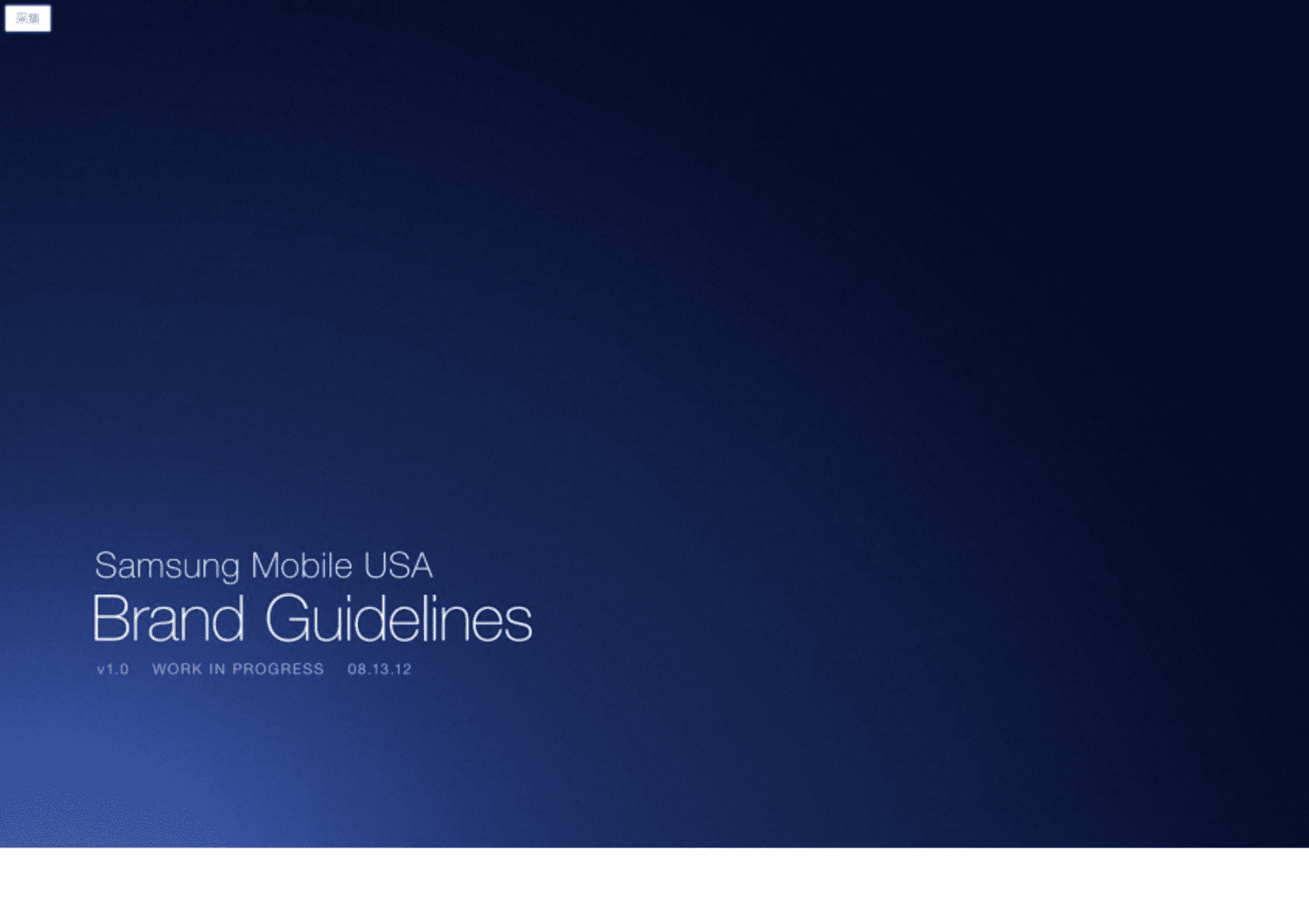 三星品牌手册-EN