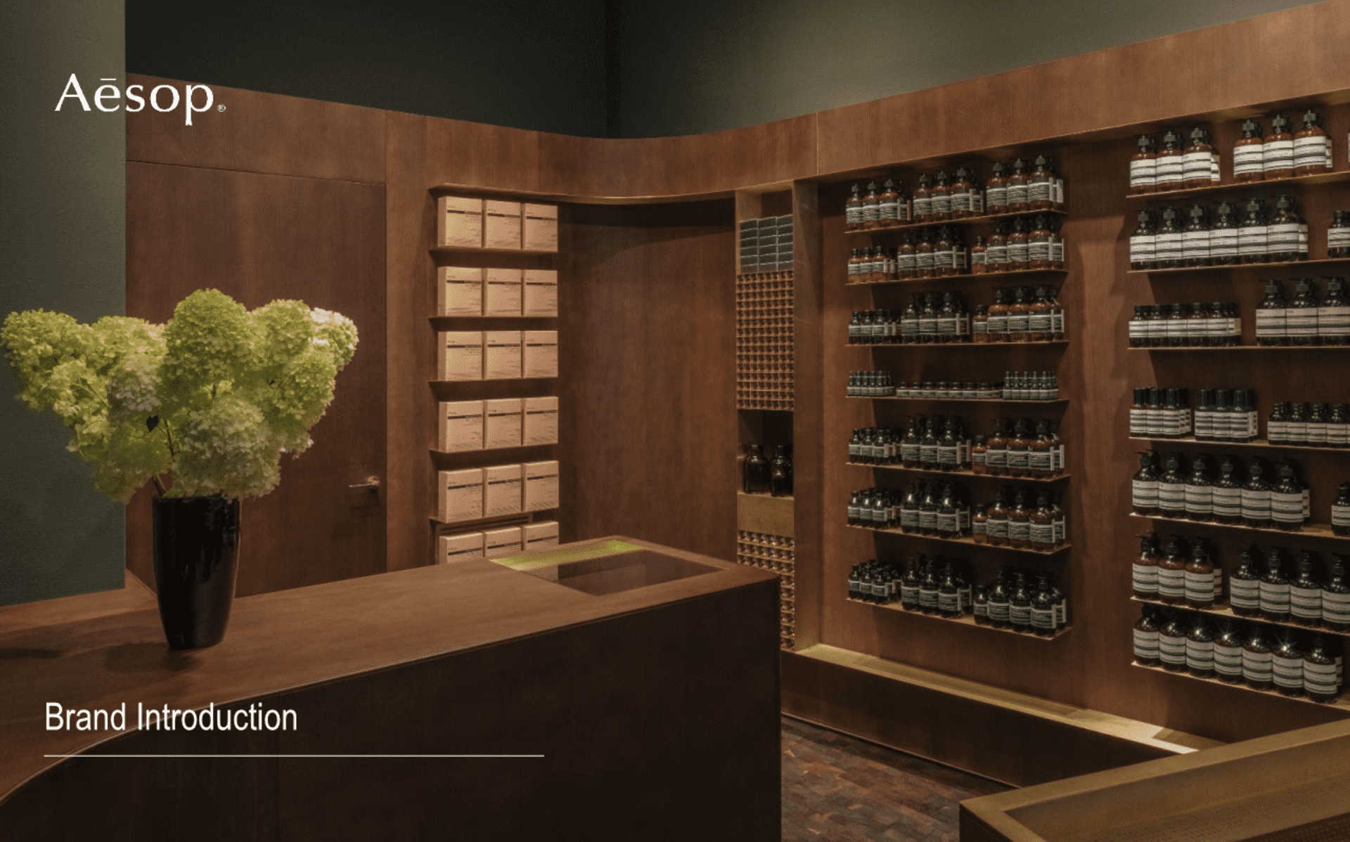 Aesop伊索澳洲化妆品牌手册