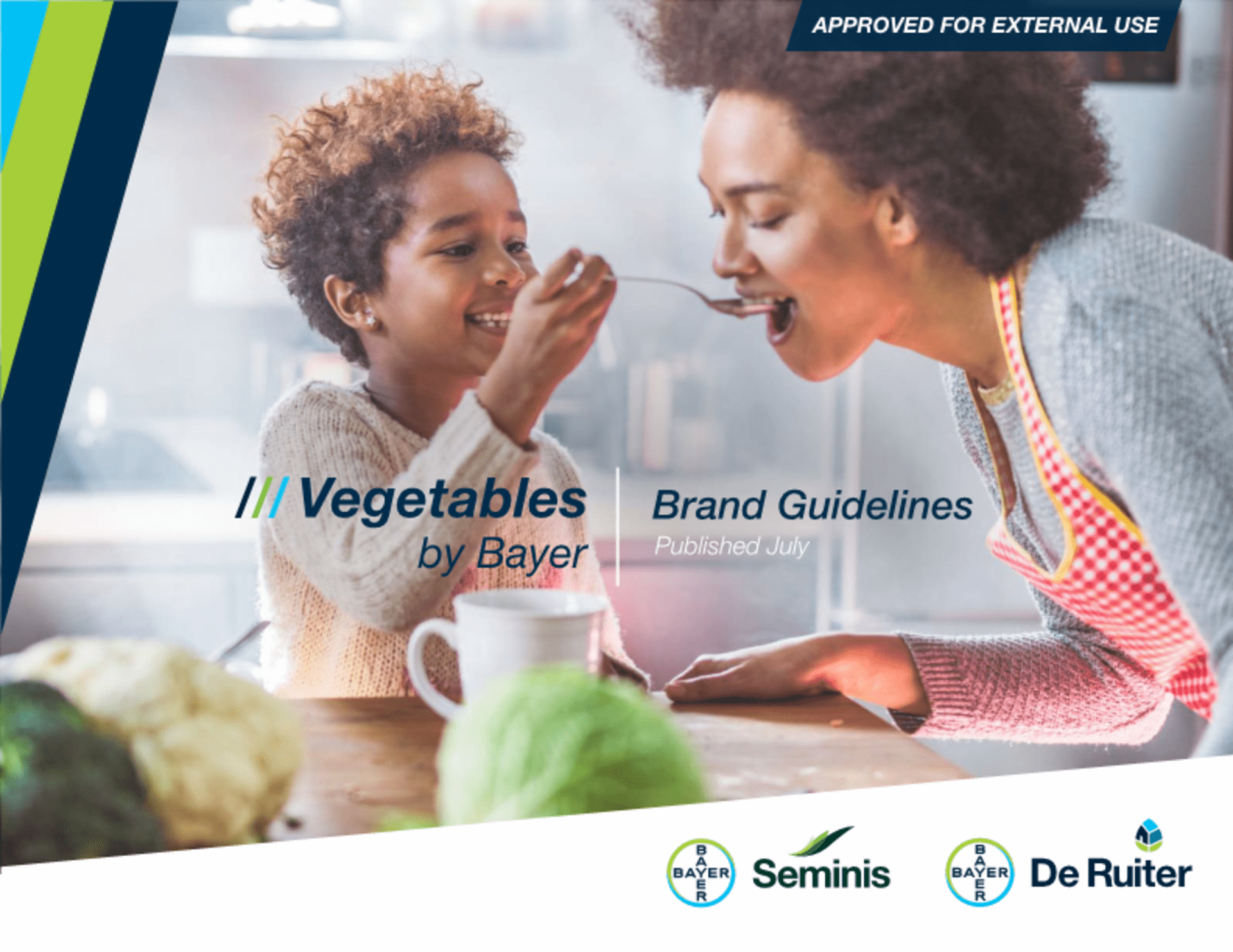 拜耳VBB_BrandGuidelines 品牌手册-EN