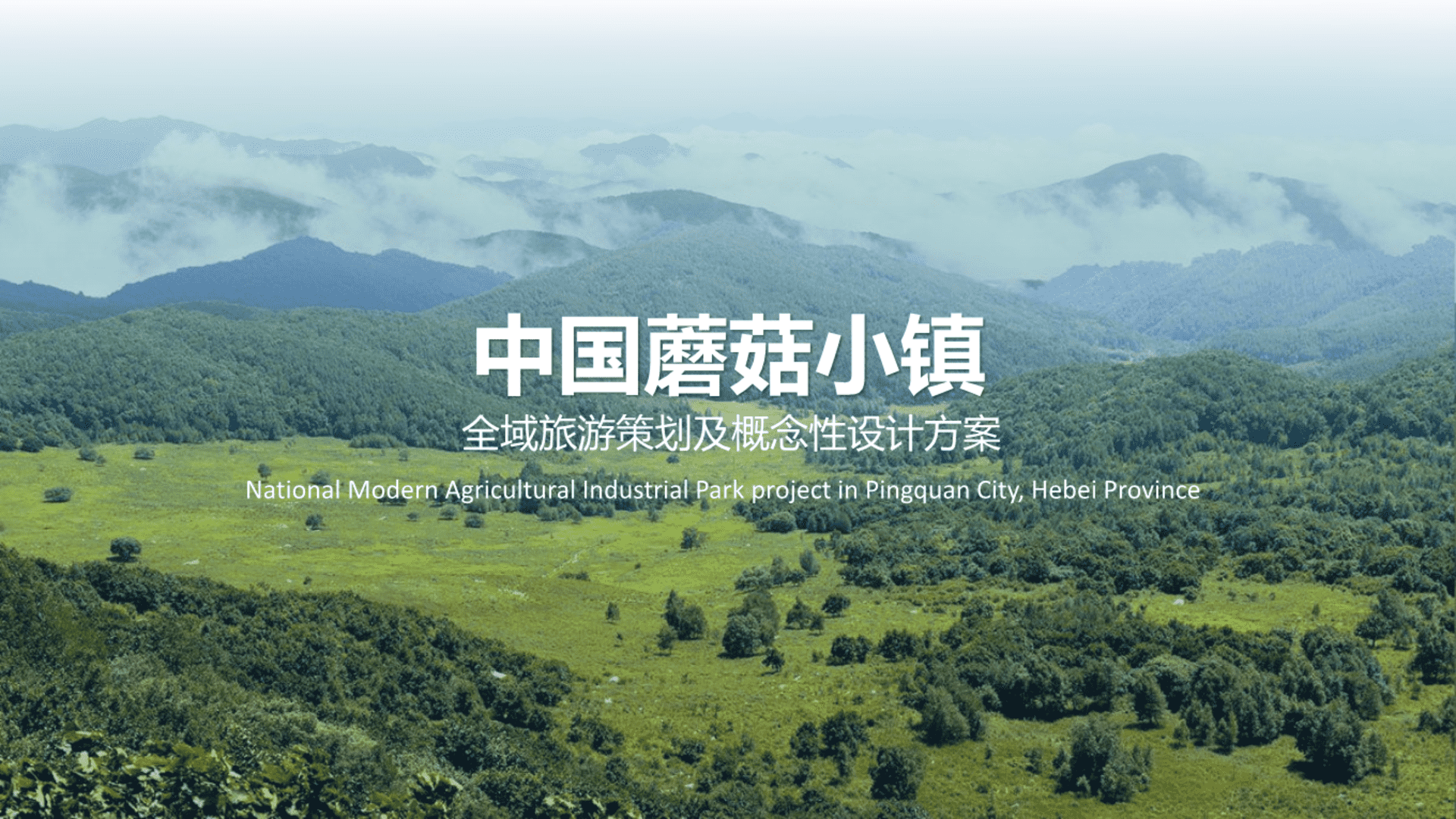 中国蘑菇小镇全域旅游规划方案