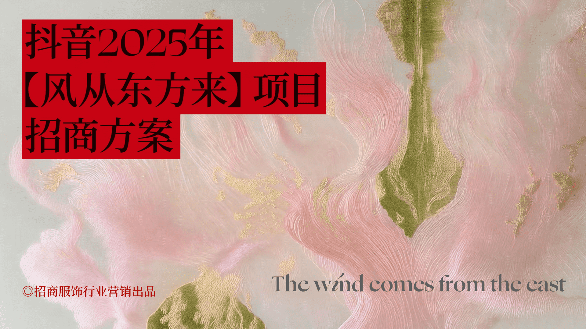 2025抖音风从东方来项目招商方案