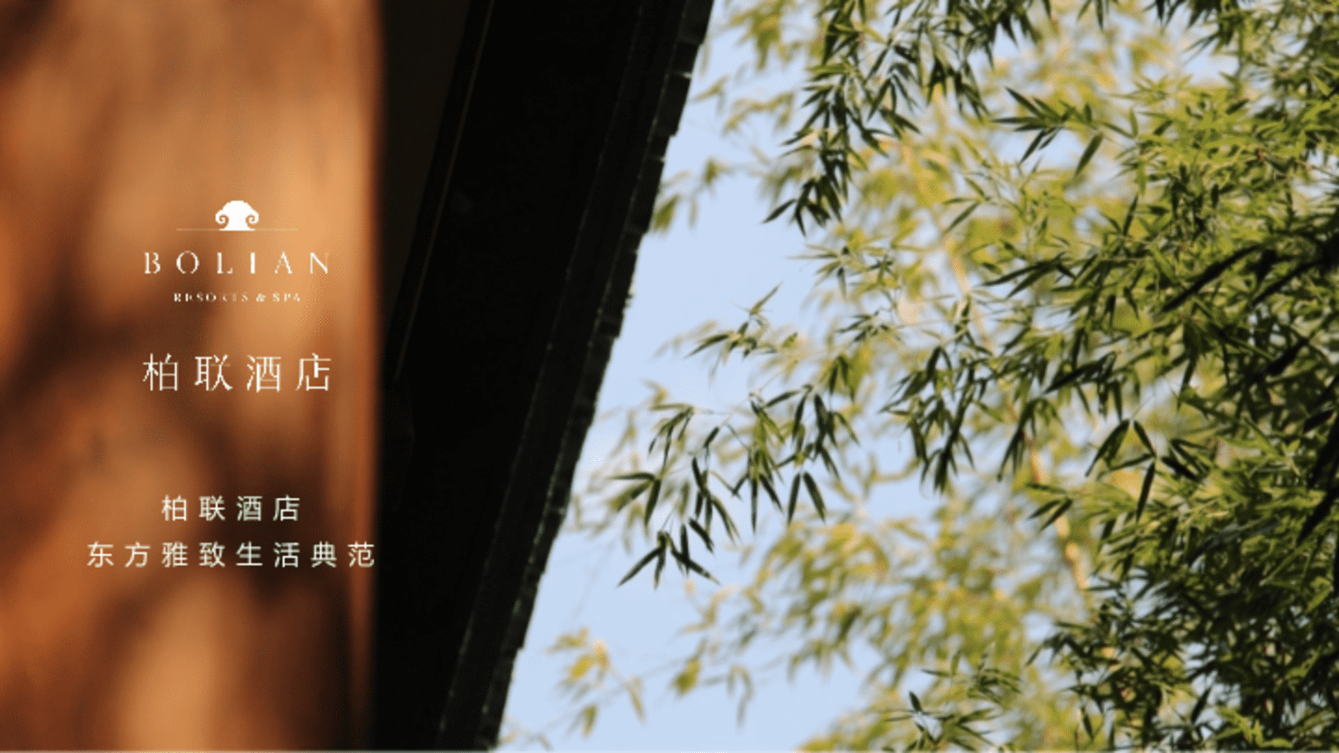 品牌手册丨柏联酒店集团方案