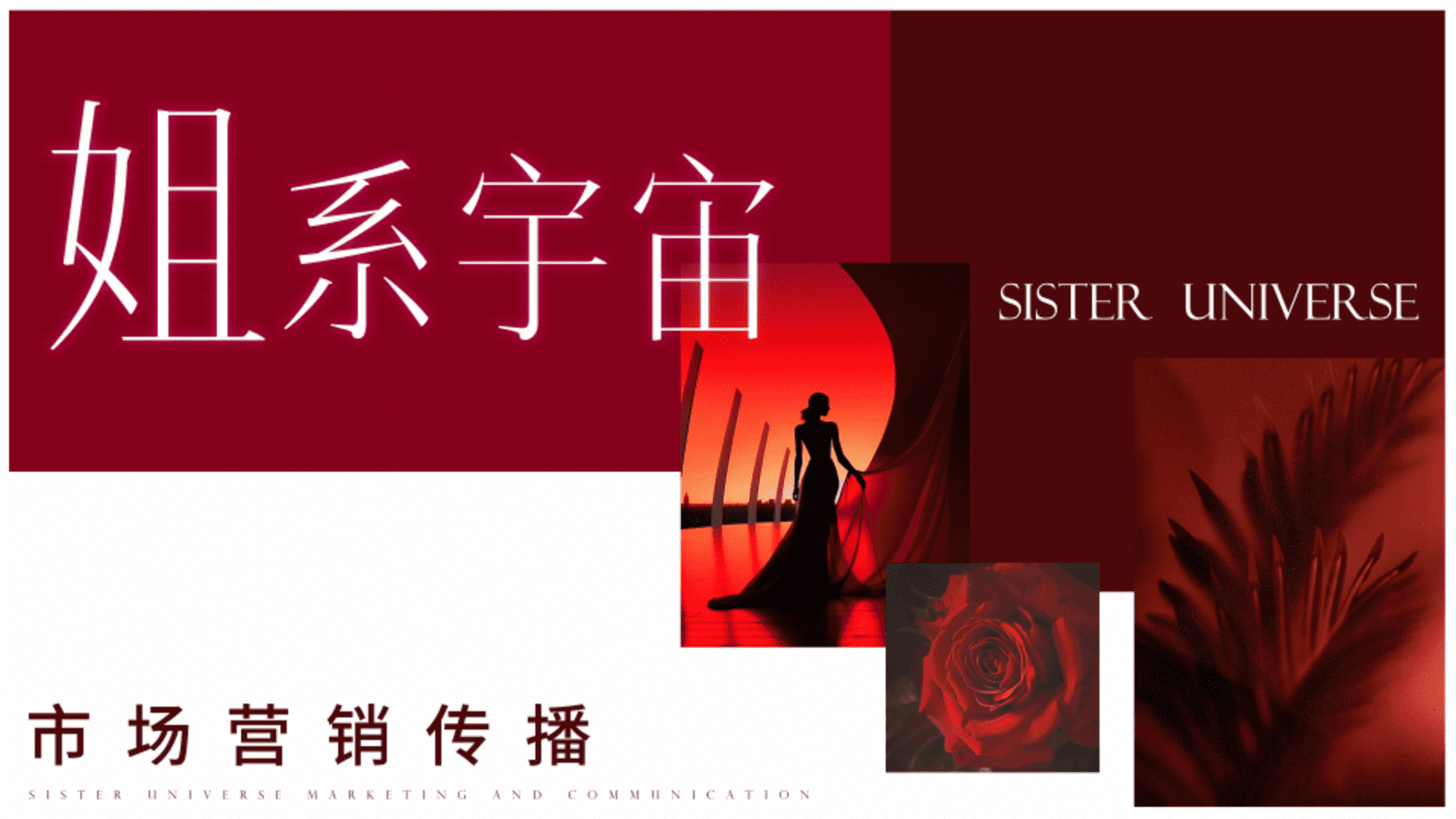 抖音内容直播综艺《姐系宇宙》招商方案【短视频】【带货】