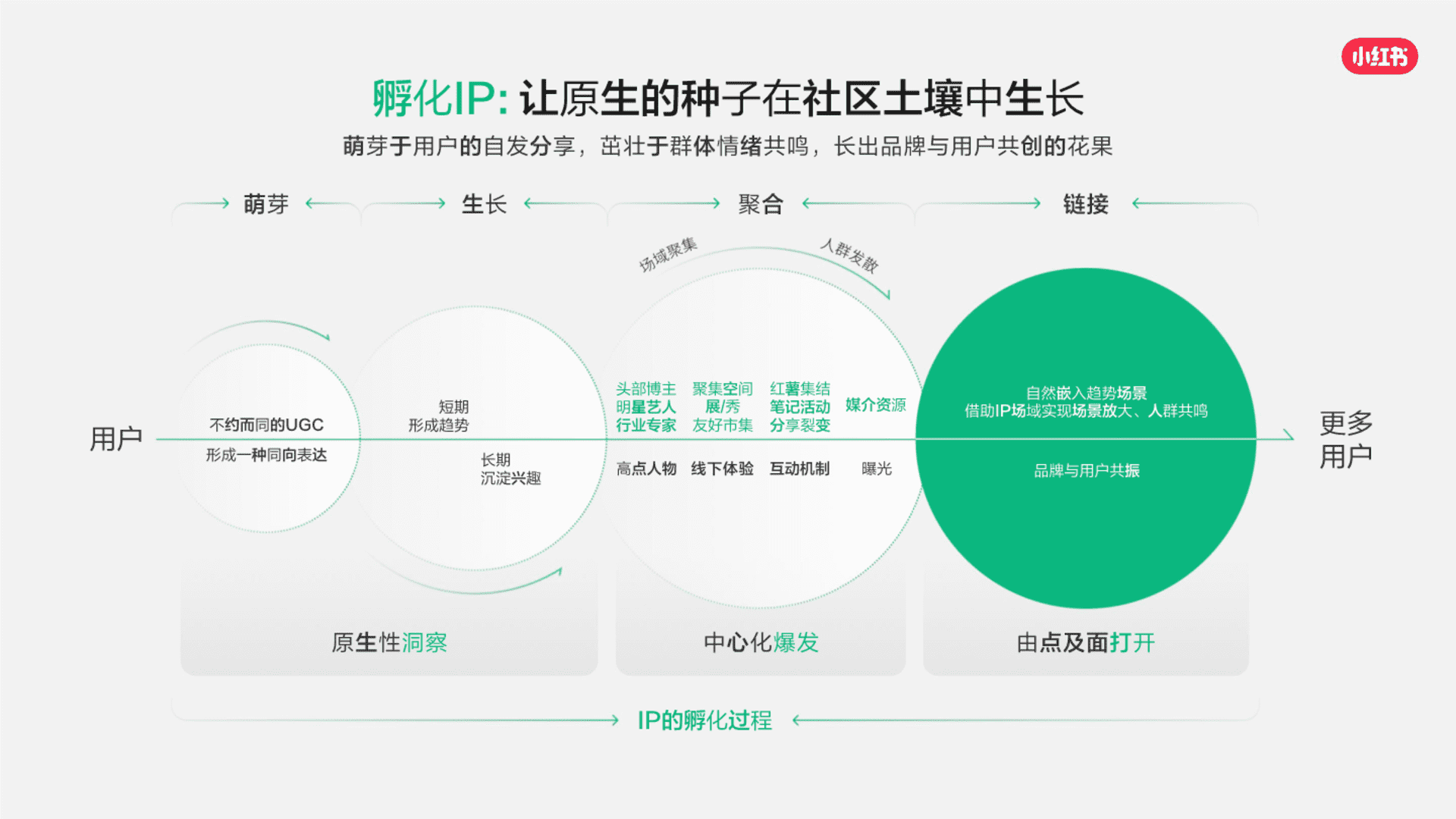 2026小红书营销IP通案 - 方案库