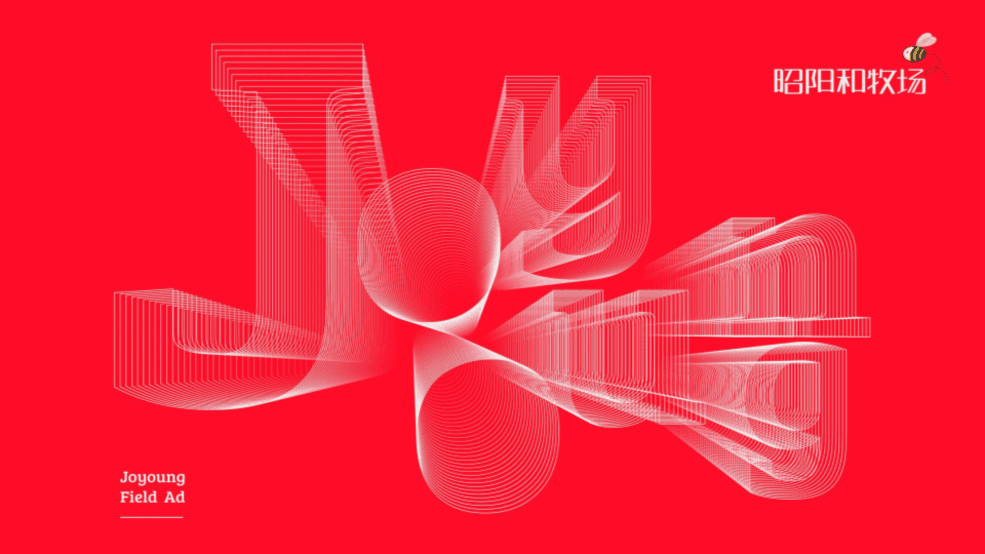 山西地产品牌年度提报中标方案