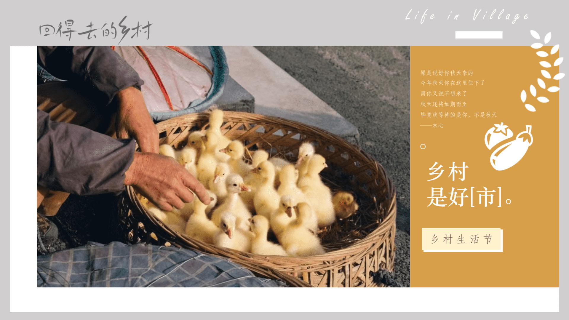 2025乡村秋季稻香生活节“乡村是好[市]”活动策划方案