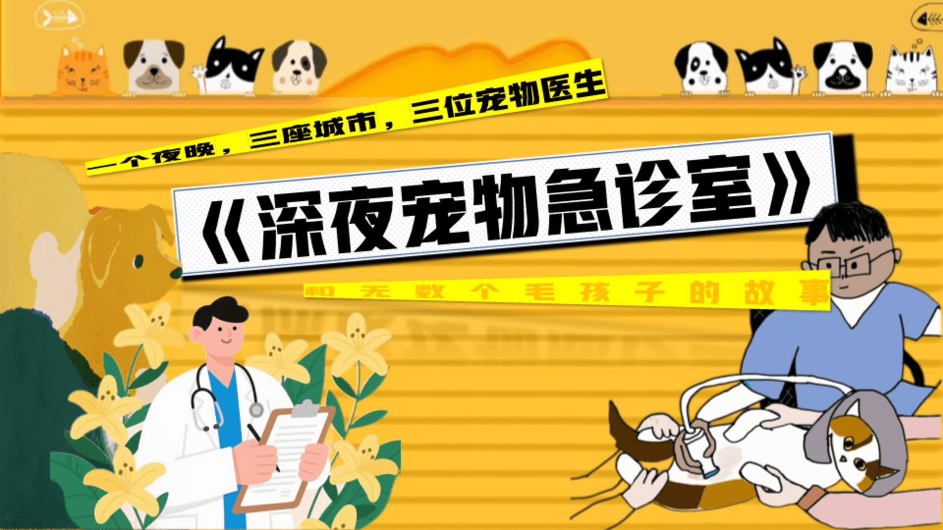 哔哩哔哩纪录片《深夜宠物急诊室》招商方案