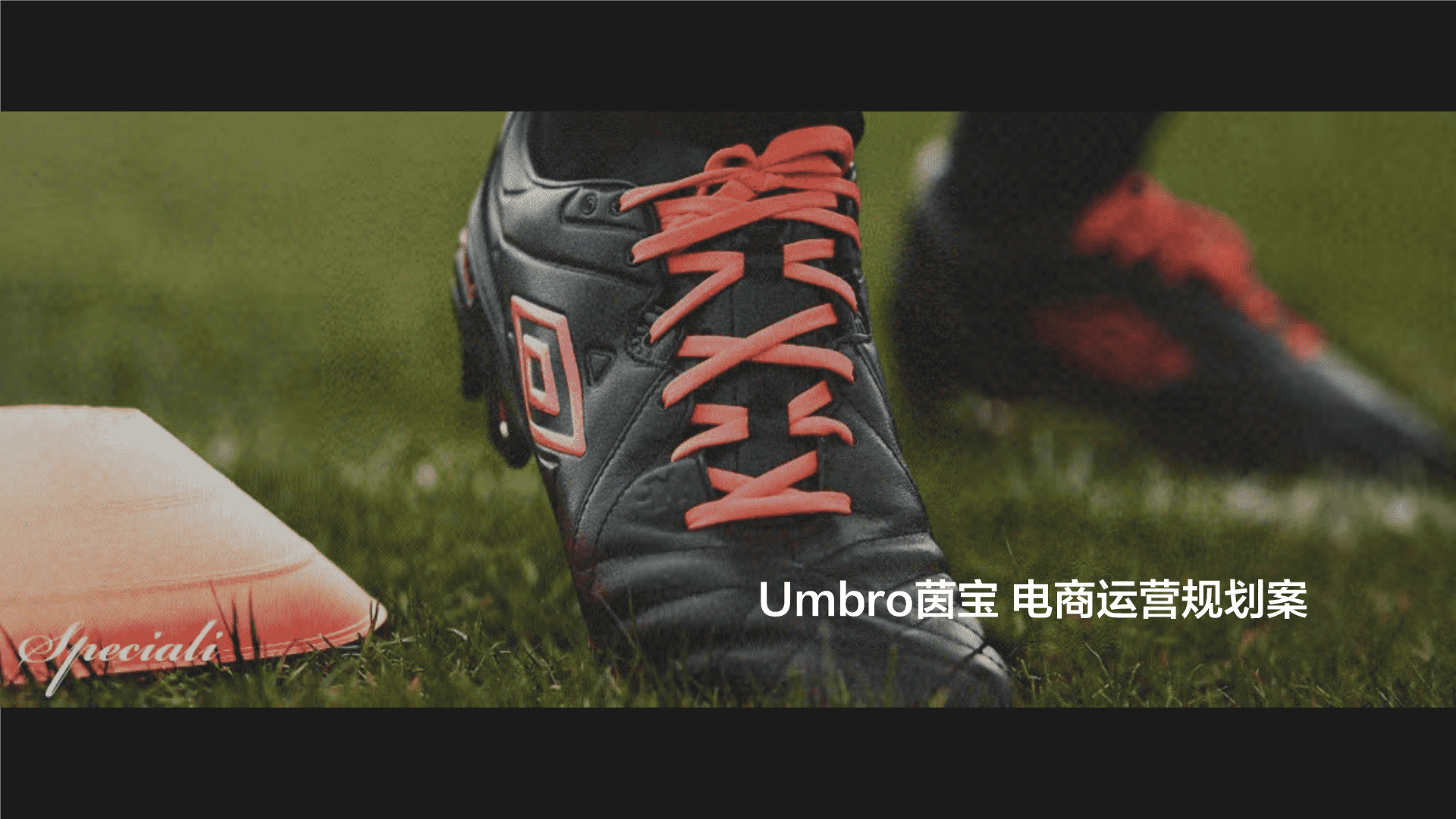 Umbro茵宝天猫旗舰店运营规划方案