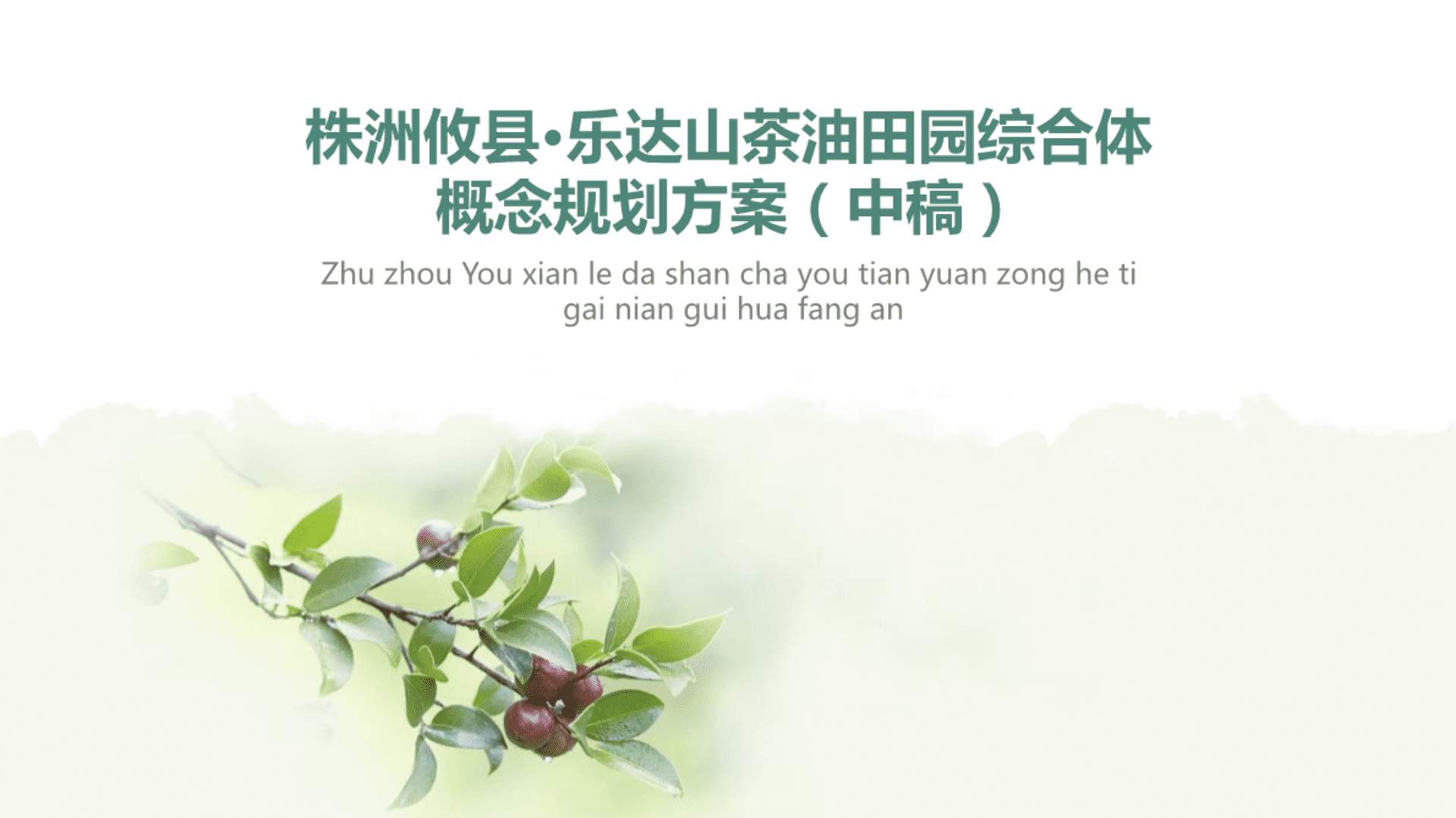 株洲攸县乐达山茶油田园综合体概念规划