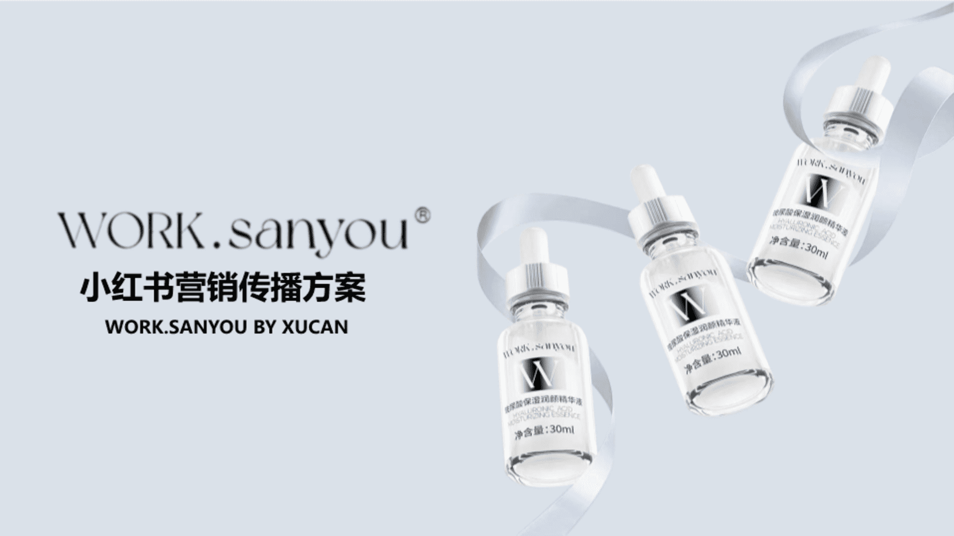 WORK.SANYOU护肤品牌小红书营销传播方案