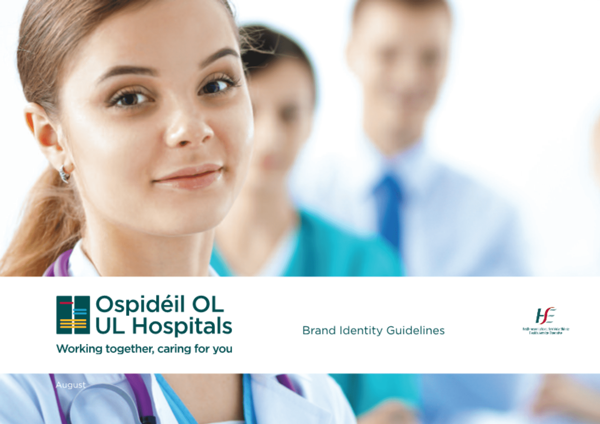 UL 医院集团品牌VI手册