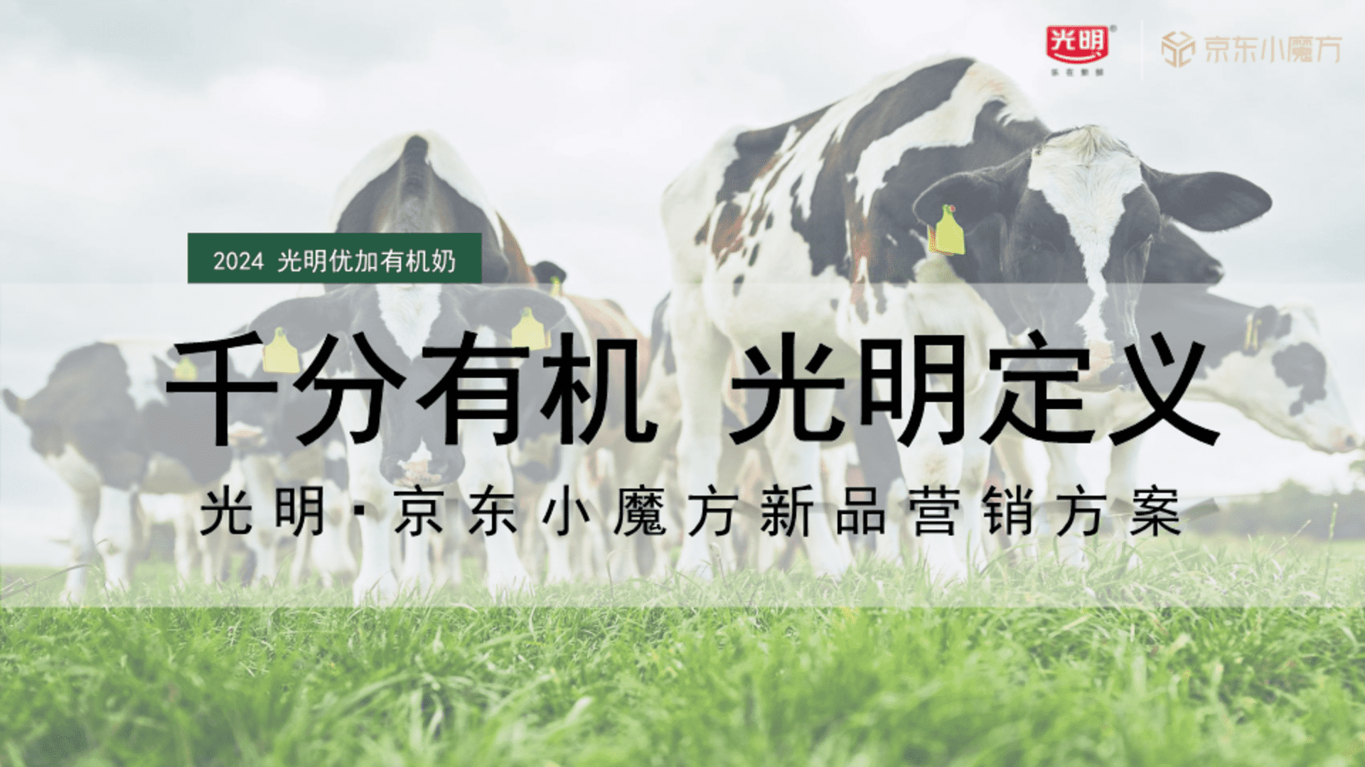 光明牛奶x京东整合营销方案