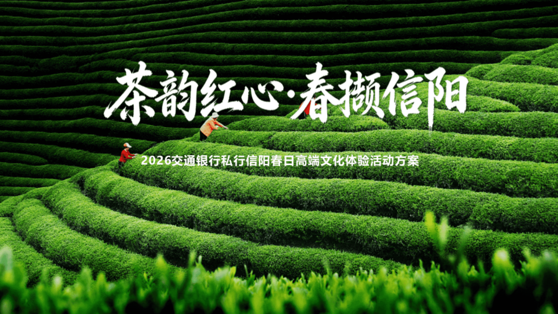 2026交通银行私行信阳春日高端文化体验活动方案