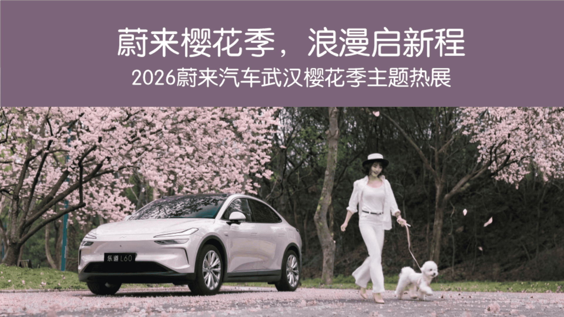 2026蔚来汽车品牌武汉樱花季主题热展方案