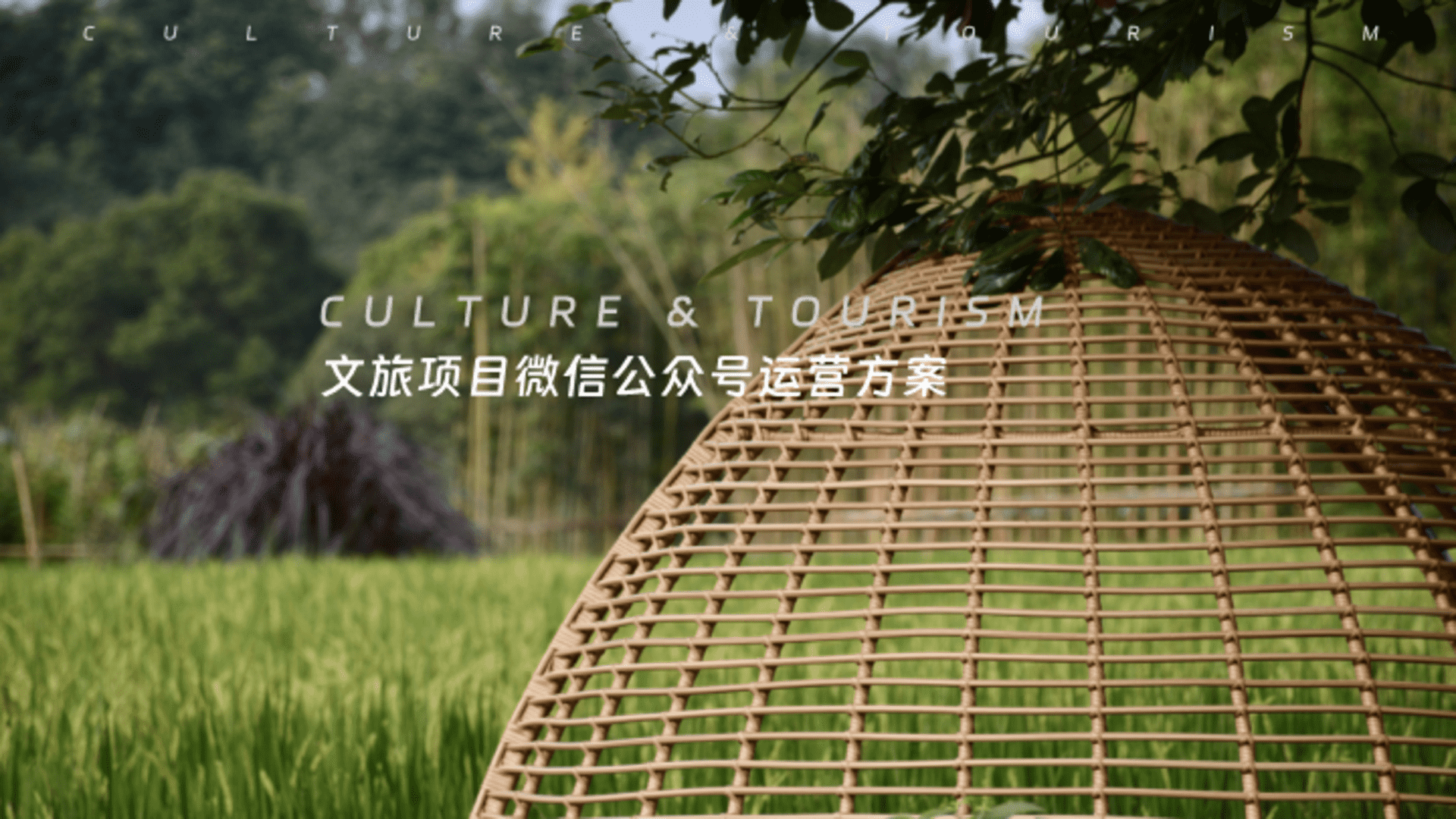 2025文旅项目微信公众号运营方案