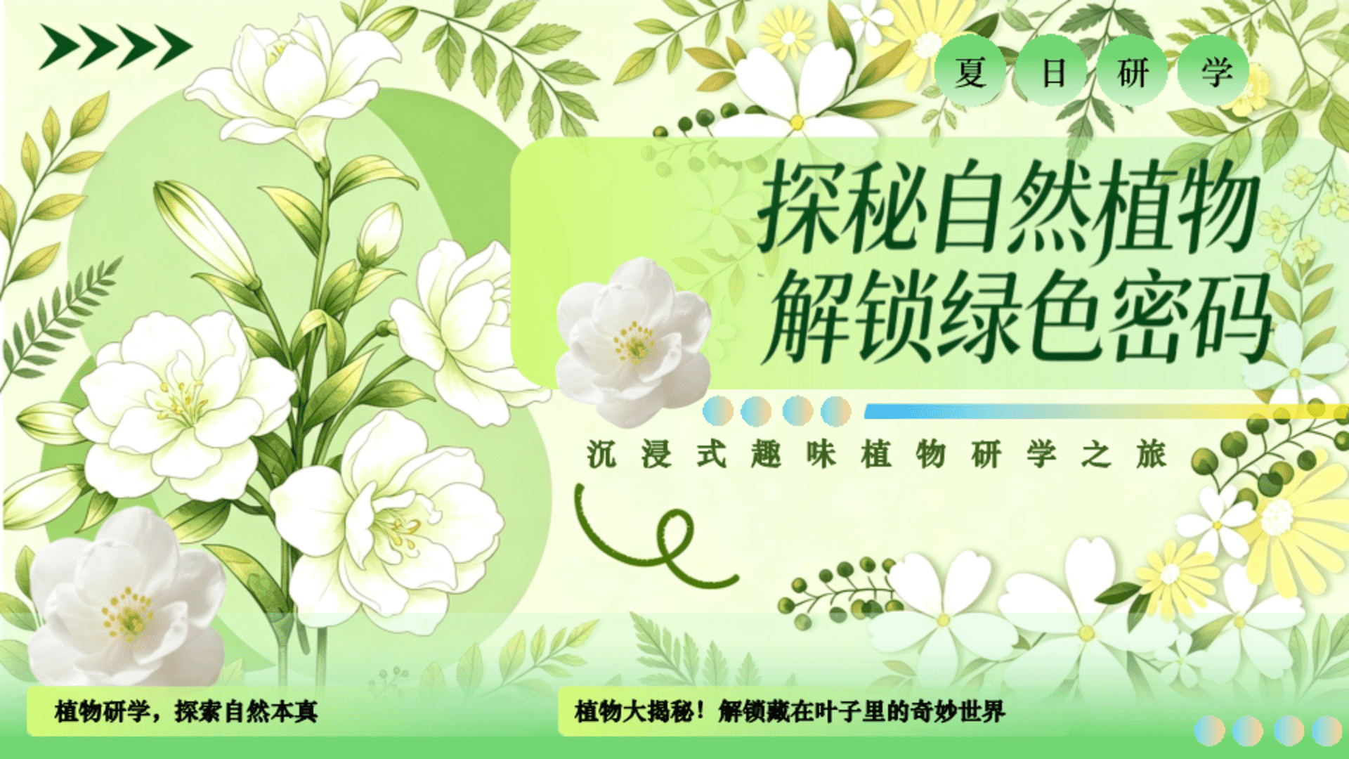 2026夏日研学沉浸式趣味植物之旅活动方案