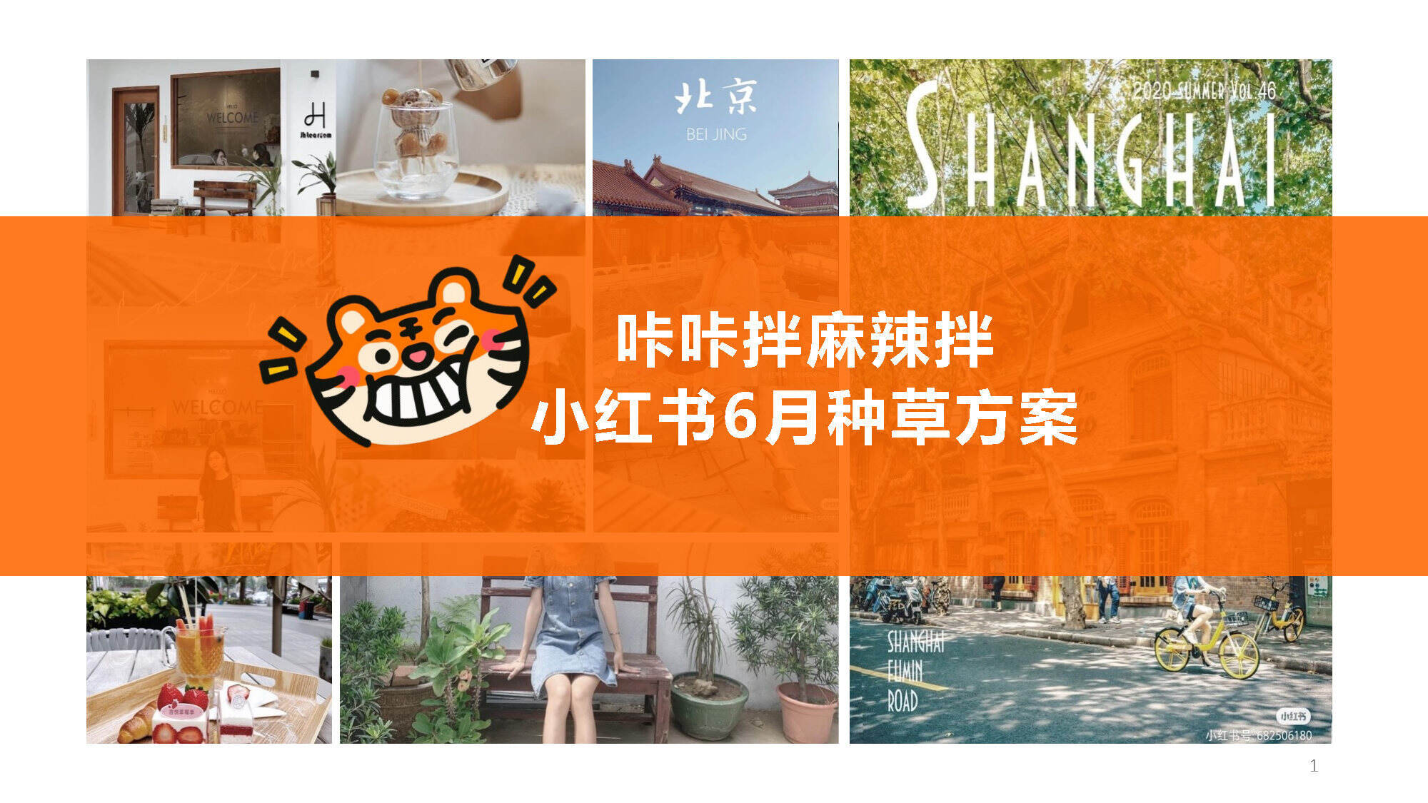 2026速食品牌麻辣拌小红书种草方案
