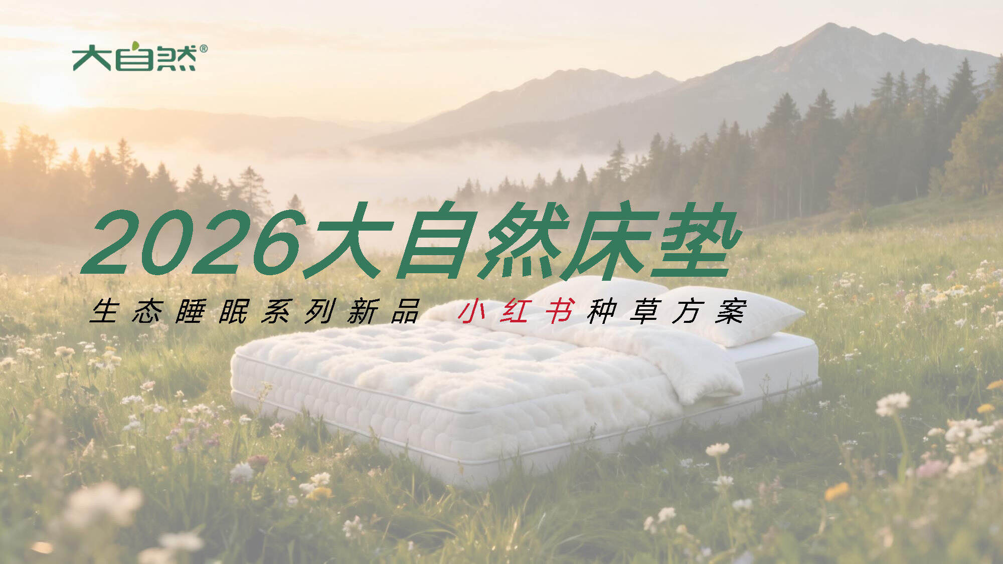 2026大自然床垫小红书种草方案