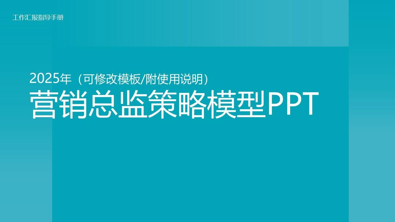 2025营销总监策略模型